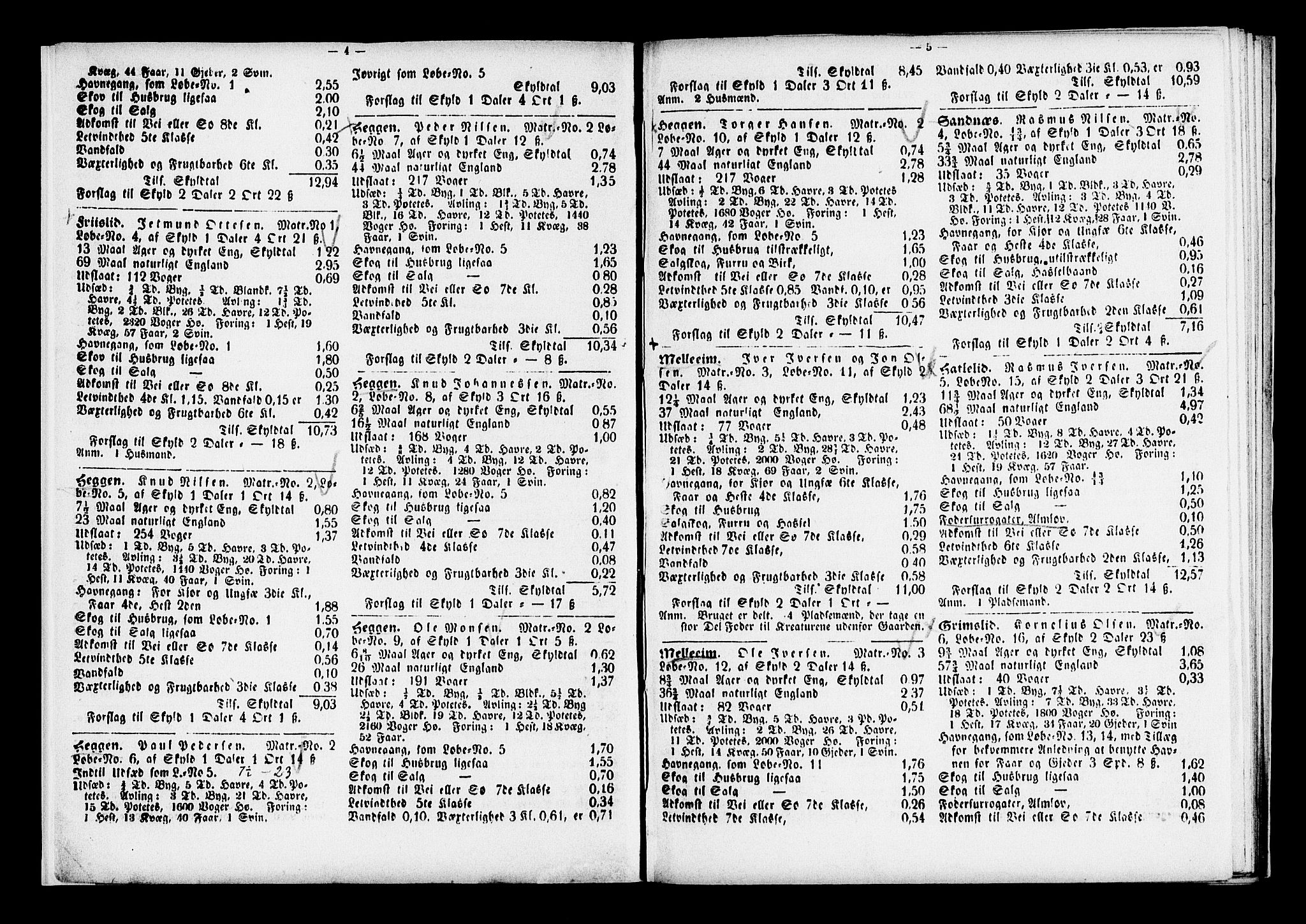 Matrikkelrevisjonen av 1863, AV/RA-S-1530/F/Fe/L0276: Eid og Hornindal, 1863