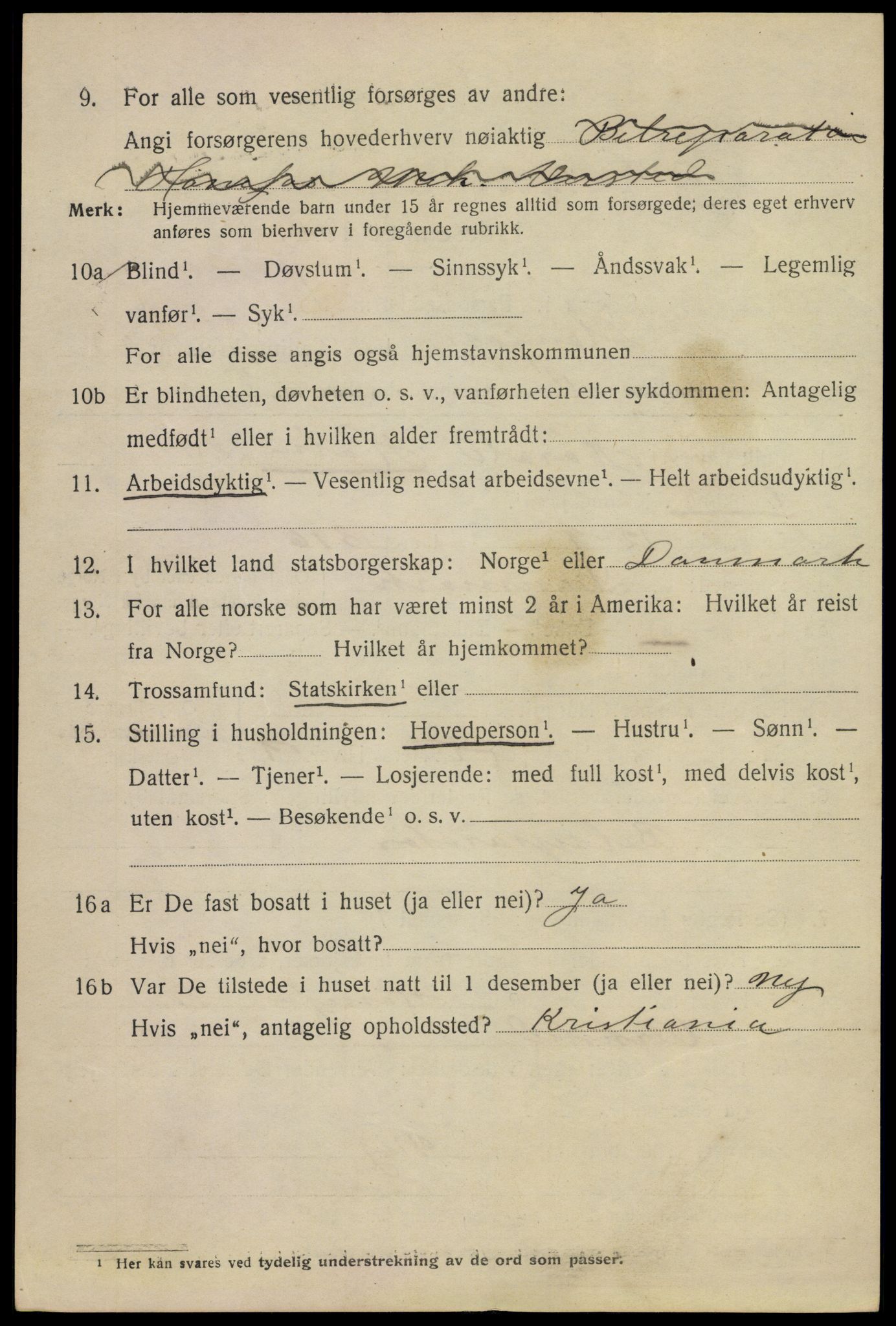 SAKO, 1920 census for Hønefoss, 1920, p. 4063