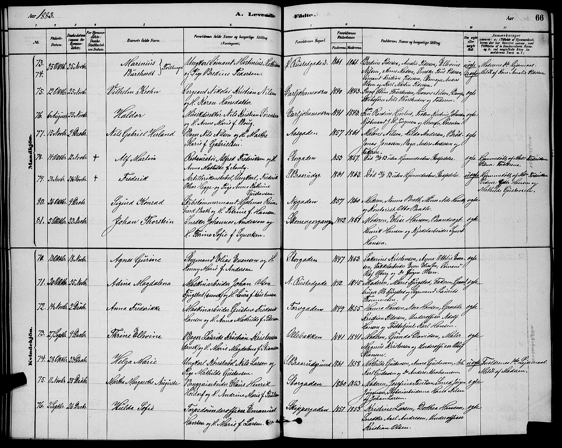 Horten kirkebøker, AV/SAKO-A-348/G/Ga/L0003: Parish register (copy) no. 4, 1878-1887, p. 66