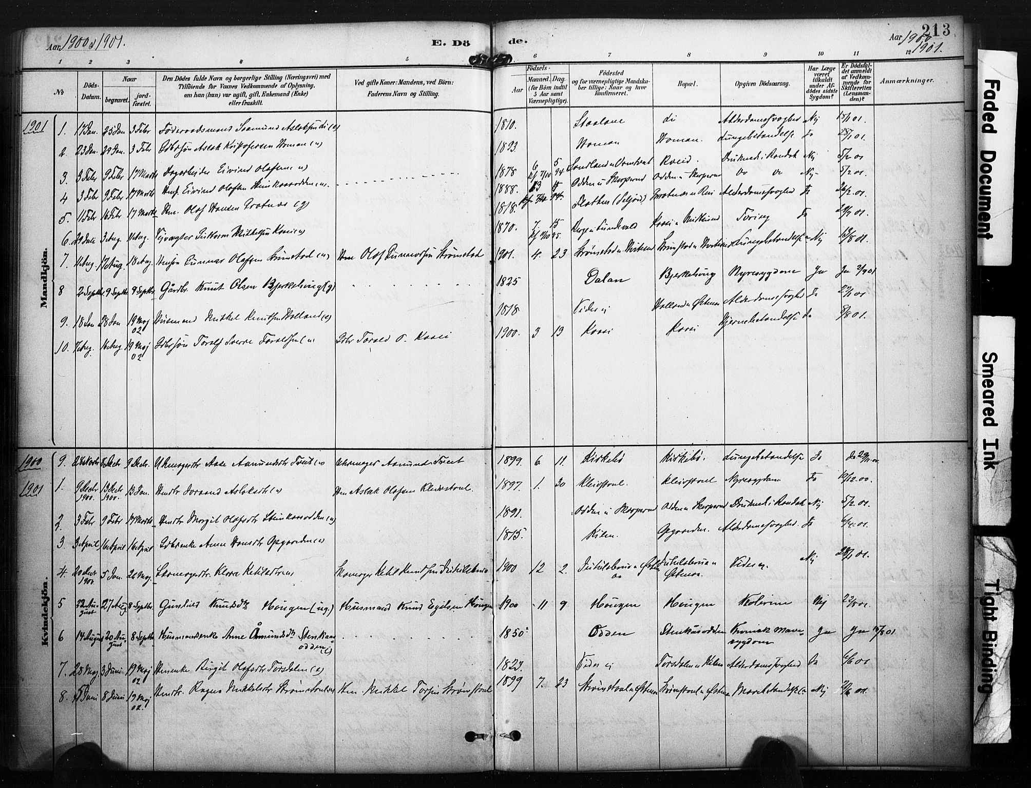 Kviteseid kirkebøker, SAKO/A-276/F/Fa/L0008: Parish register (official) no. I 8, 1882-1903, p. 213