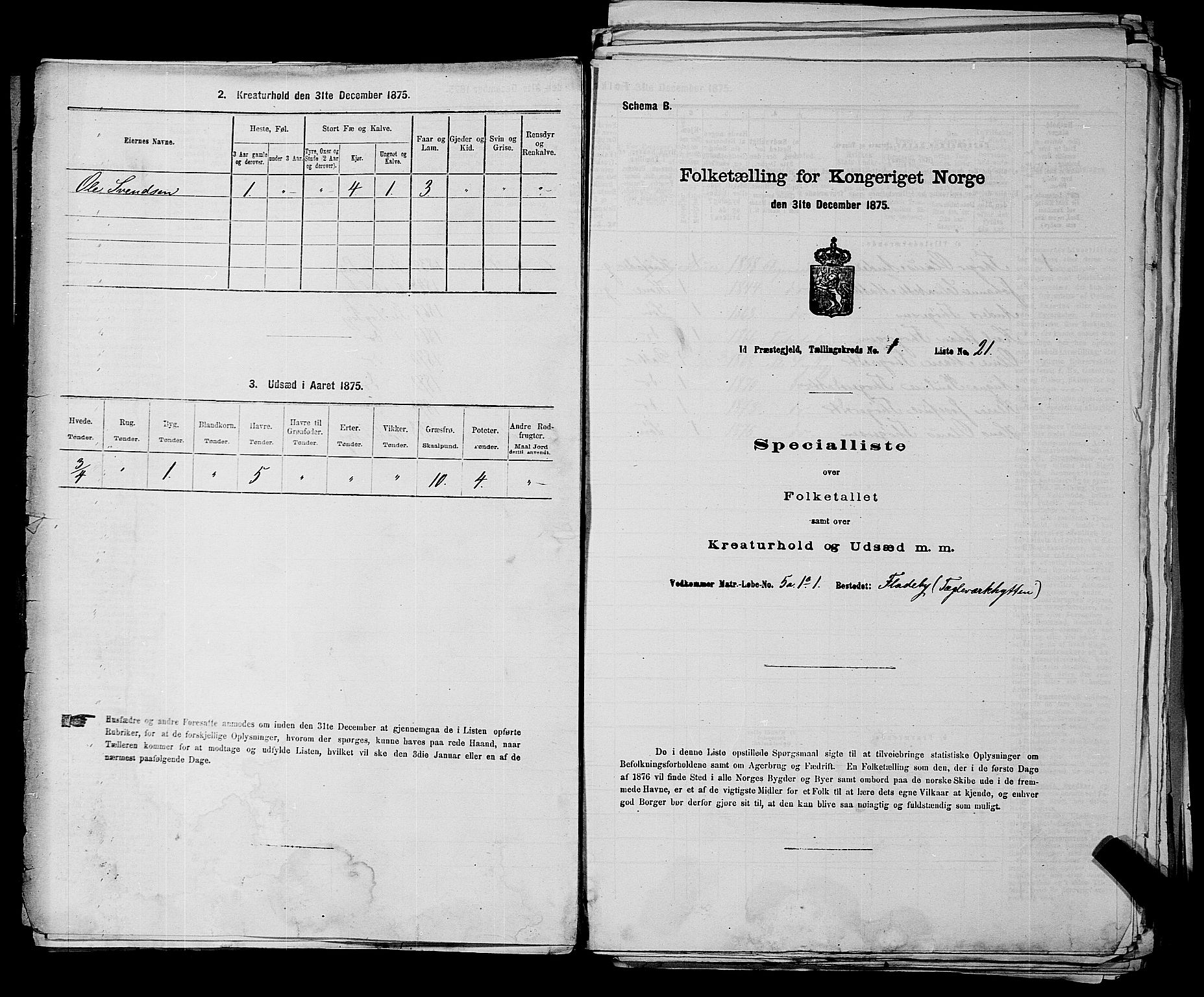 RA, 1875 census for 0117P Idd, 1875, p. 66