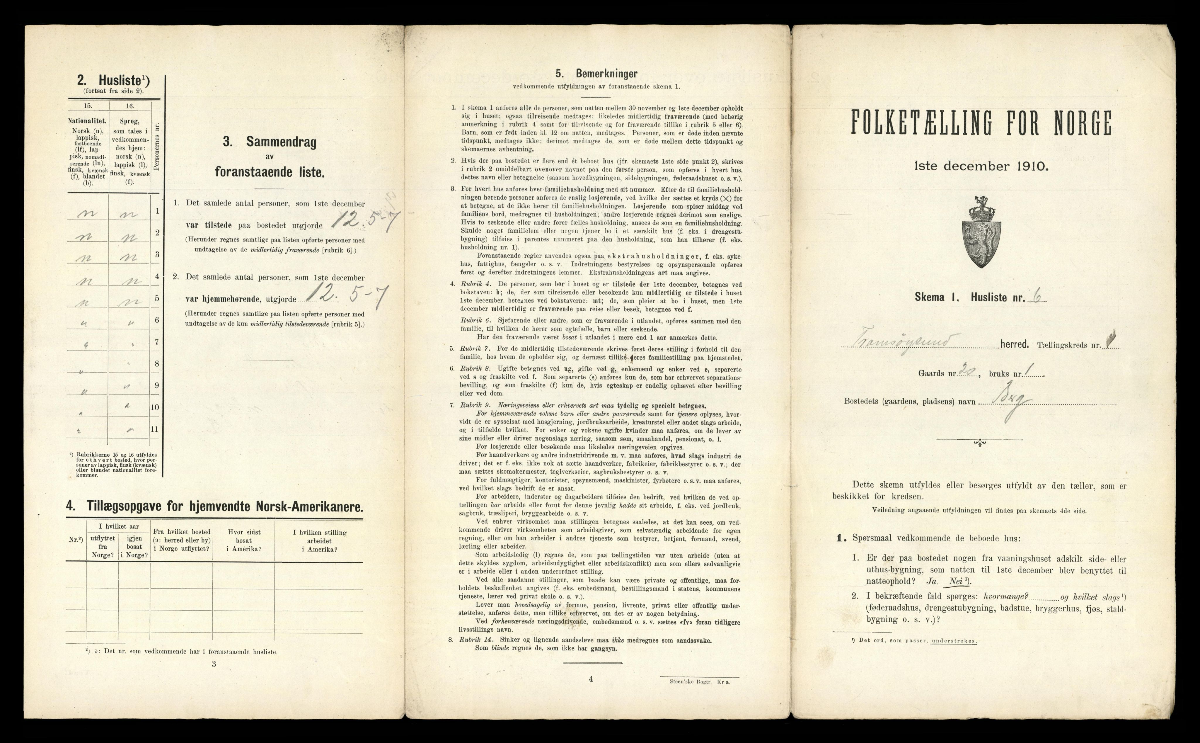 RA, 1910 census for Tromsøysund, 1910, p. 53