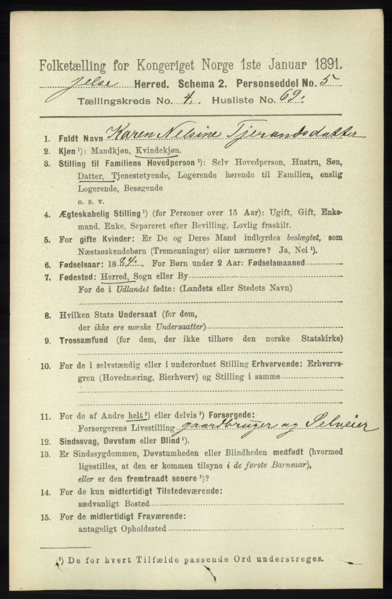 RA, 1891 census for 1138 Jelsa, 1891, p. 1037