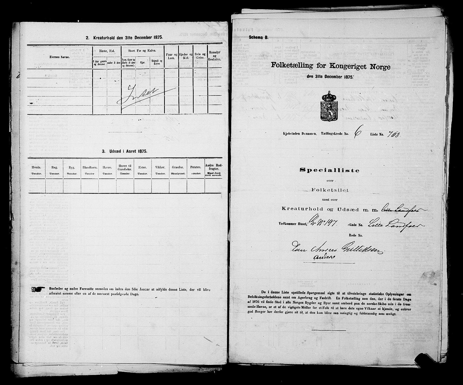 SAKO, 1875 census for 0602 Drammen, 1875, p. 532