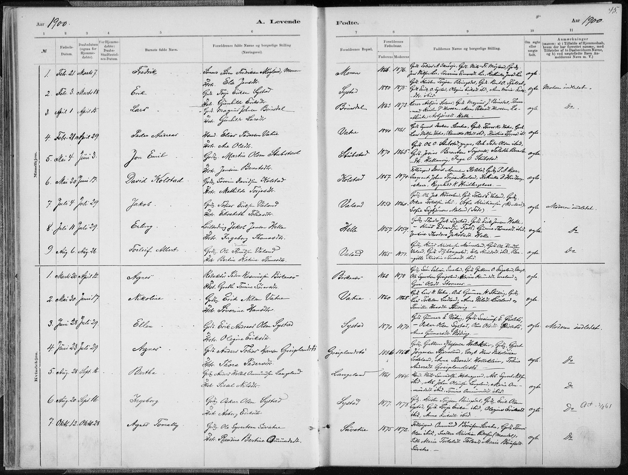 Holum sokneprestkontor, SAK/1111-0022/F/Fa/Faa/L0007: Parish register (official) no. A 7, 1884-1907, p. 45