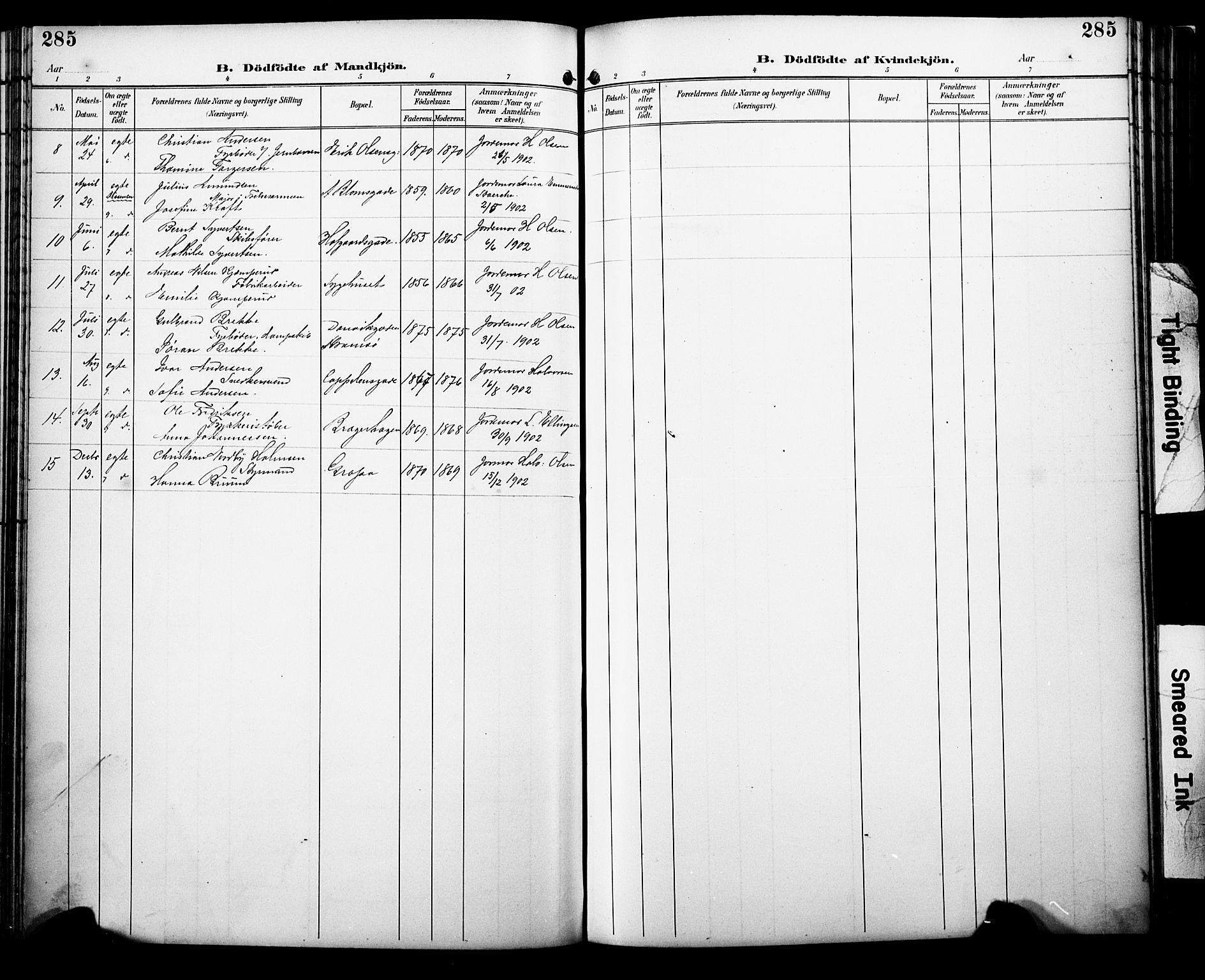 Bragernes kirkebøker, AV/SAKO-A-6/F/Fb/L0008: Parish register (official) no. II 8, 1894-1902, p. 285