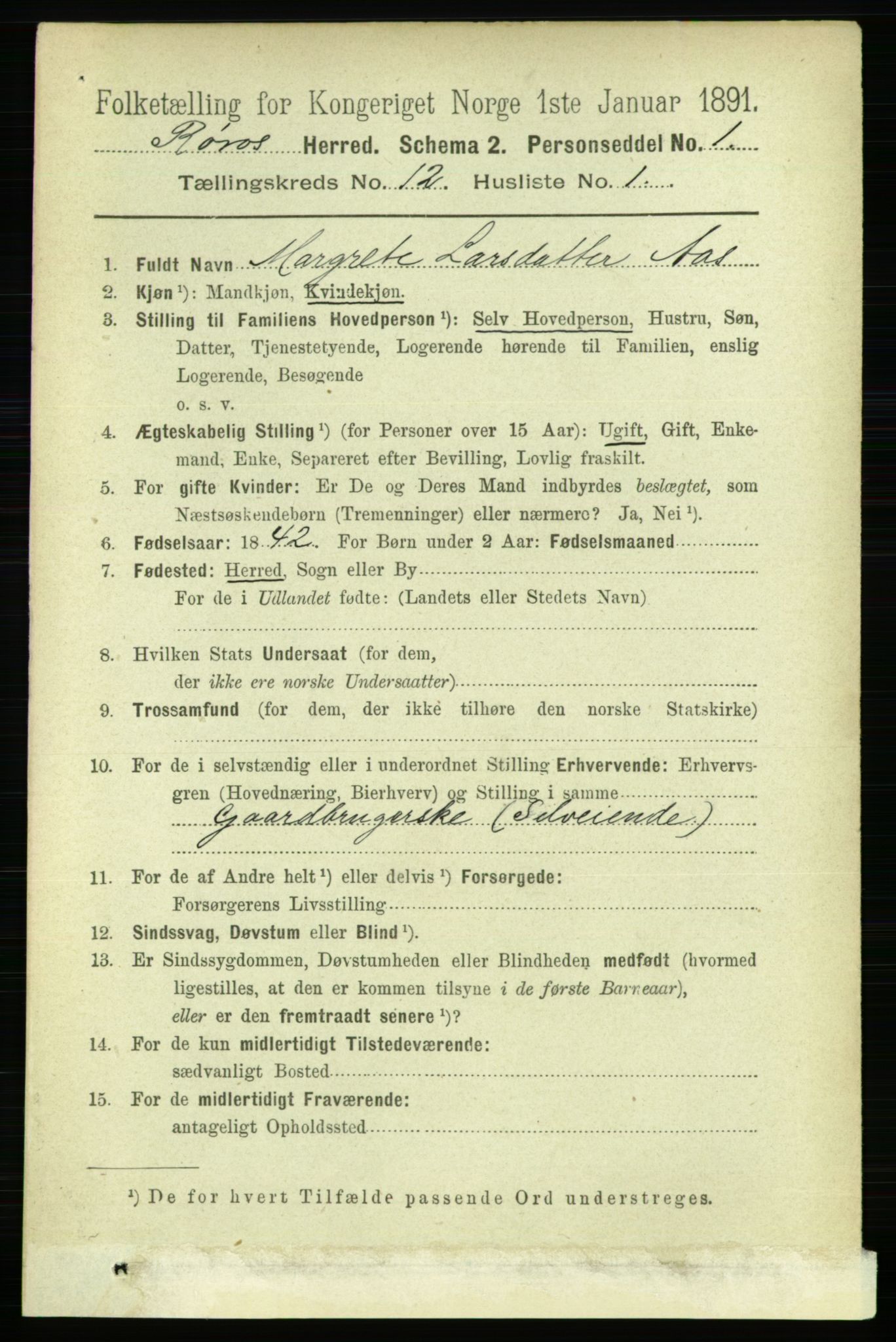 RA, 1891 census for 1640 Røros, 1891, p. 2369