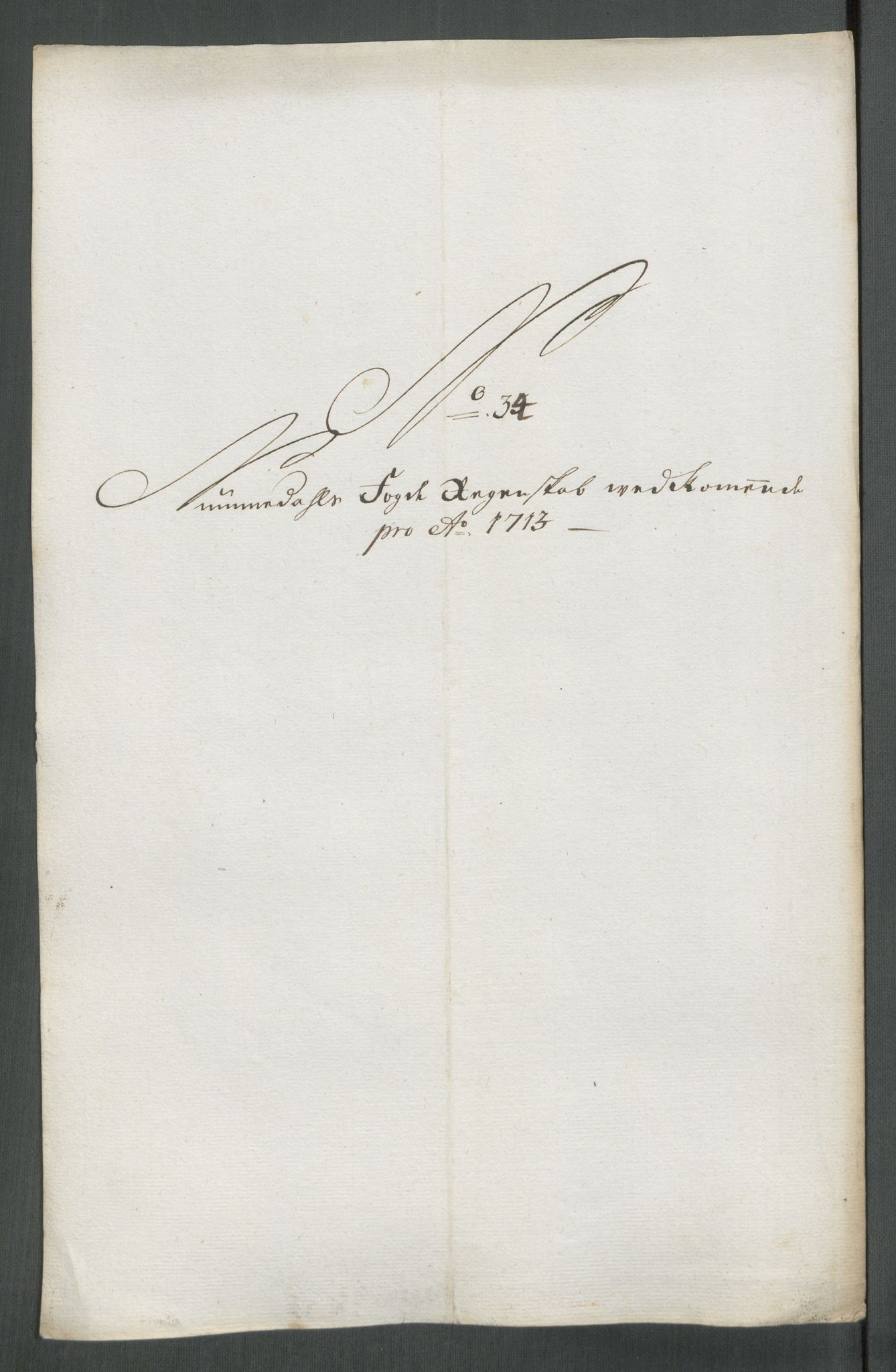 Rentekammeret inntil 1814, Reviderte regnskaper, Fogderegnskap, RA/EA-4092/R64/L4434: Fogderegnskap Namdal, 1713, p. 221