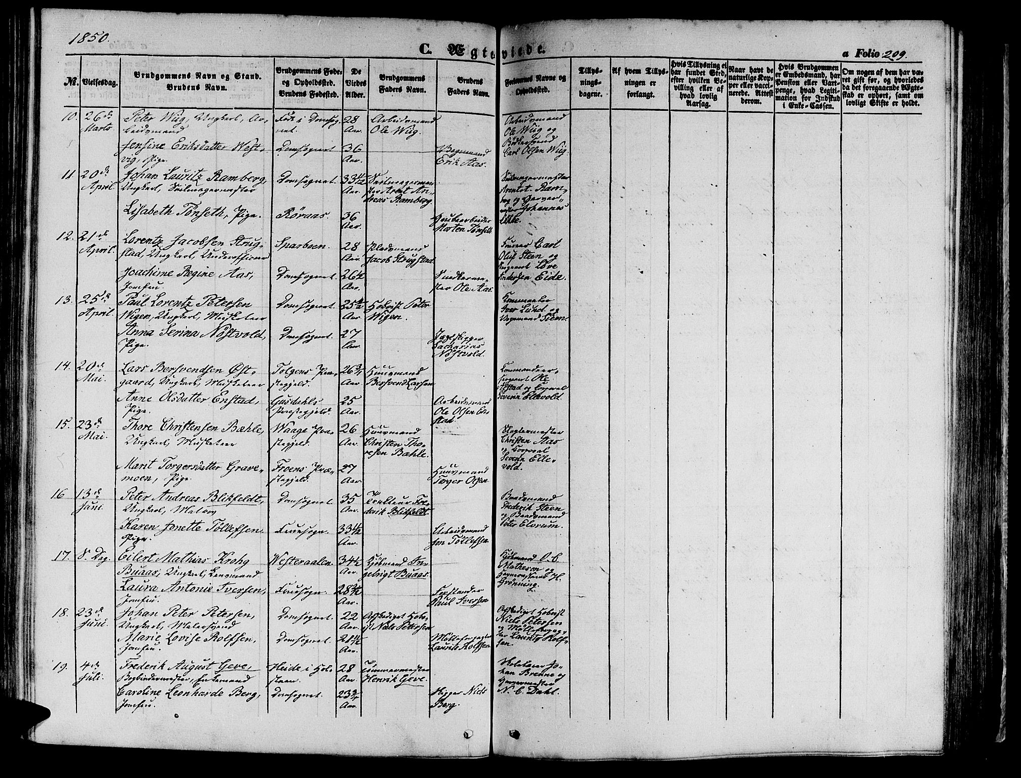 Ministerialprotokoller, klokkerbøker og fødselsregistre - Sør-Trøndelag, AV/SAT-A-1456/602/L0137: Parish register (copy) no. 602C05, 1846-1856, p. 209