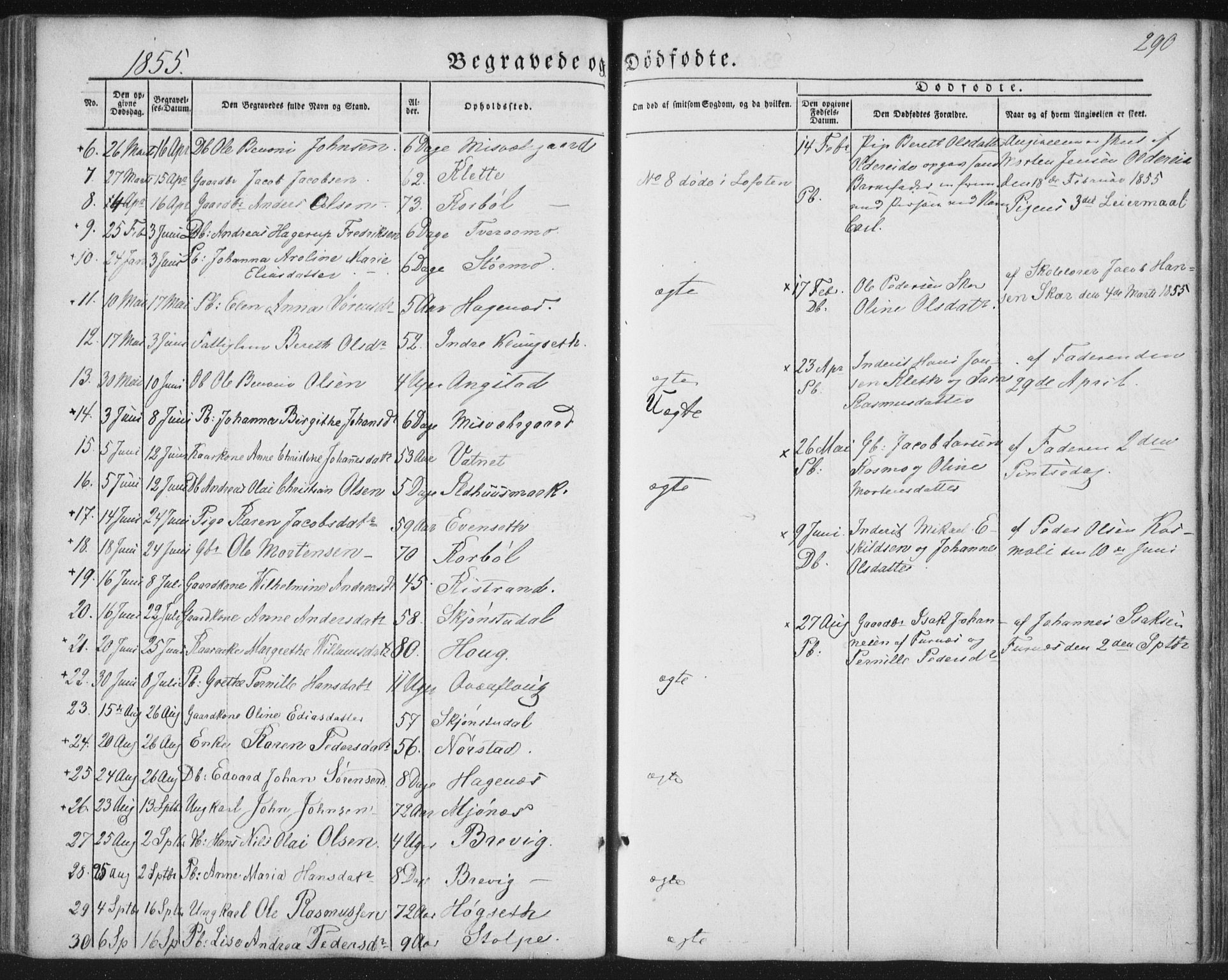 Ministerialprotokoller, klokkerbøker og fødselsregistre - Nordland, AV/SAT-A-1459/852/L0738: Parish register (official) no. 852A08, 1849-1865, p. 290