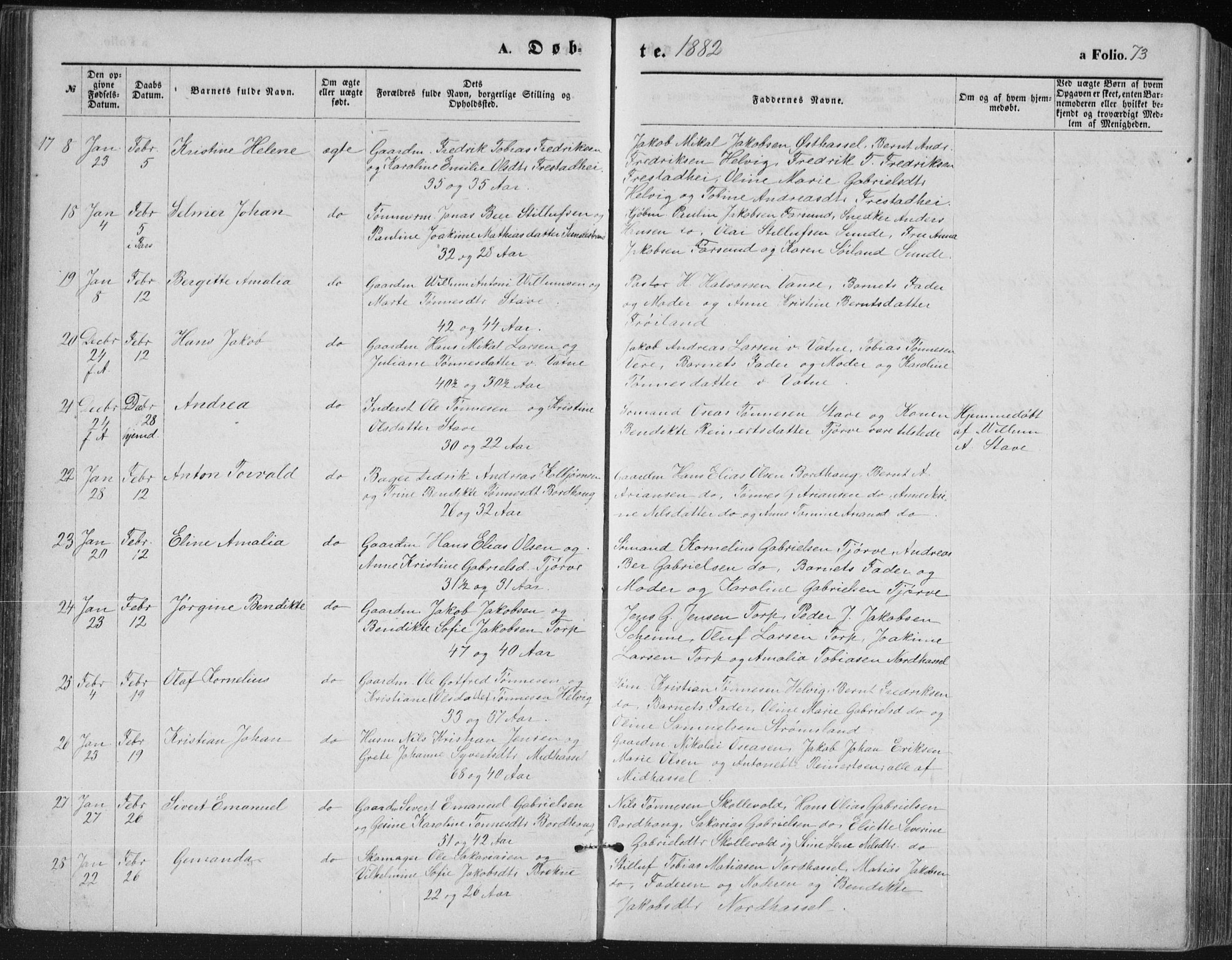 Lista sokneprestkontor, AV/SAK-1111-0027/F/Fb/L0004: Parish register (copy) no. B 4, 1877-1891, p. 73
