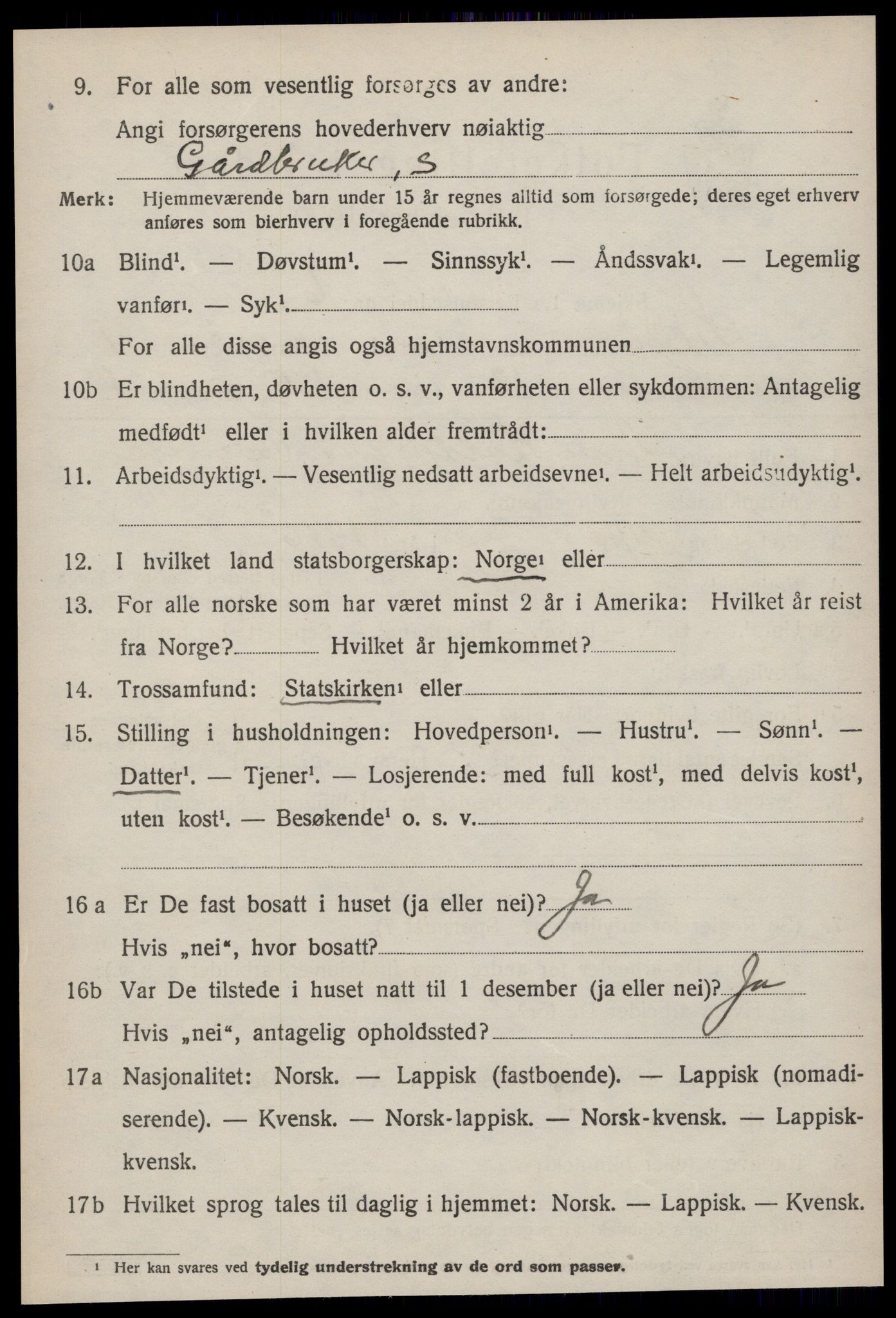 SAT, 1920 census for Selbu, 1920, p. 9045