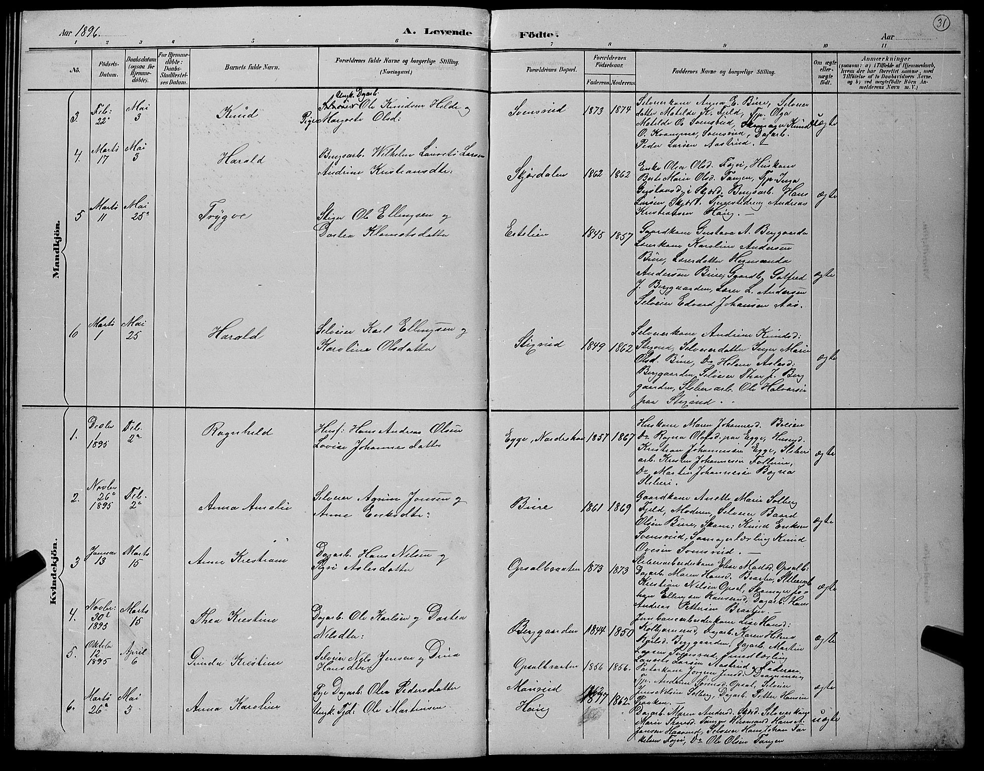 Hole kirkebøker, SAKO/A-228/G/Gb/L0003: Parish register (copy) no. II 3, 1890-1901, p. 31