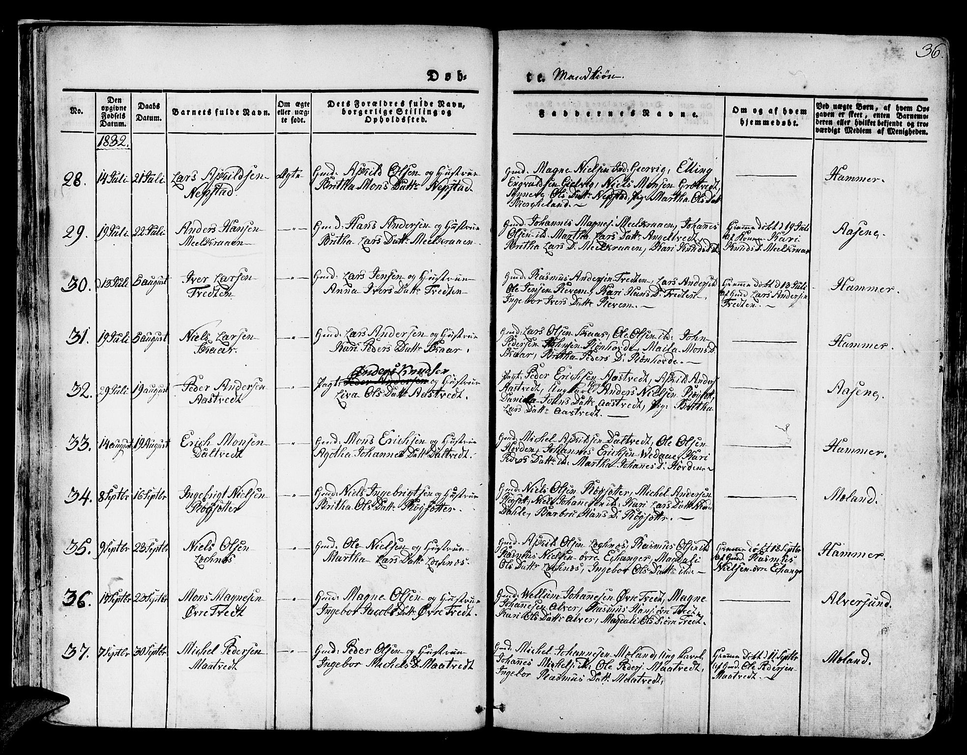 Hamre sokneprestembete, AV/SAB-A-75501/H/Ha/Haa/Haaa/L0011: Parish register (official) no. A 11, 1826-1834, p. 36