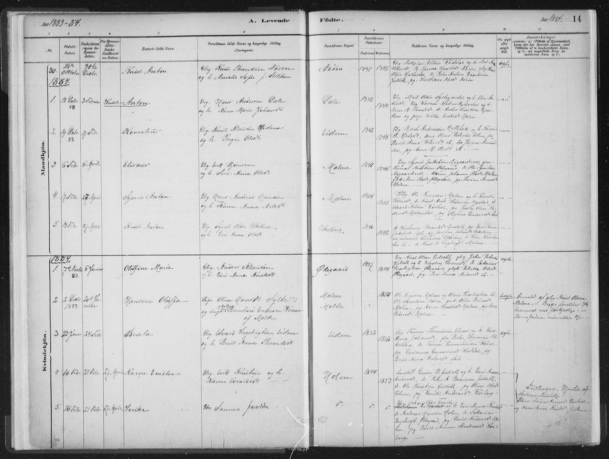 Ministerialprotokoller, klokkerbøker og fødselsregistre - Møre og Romsdal, AV/SAT-A-1454/564/L0740: Parish register (official) no. 564A01, 1880-1899, p. 14