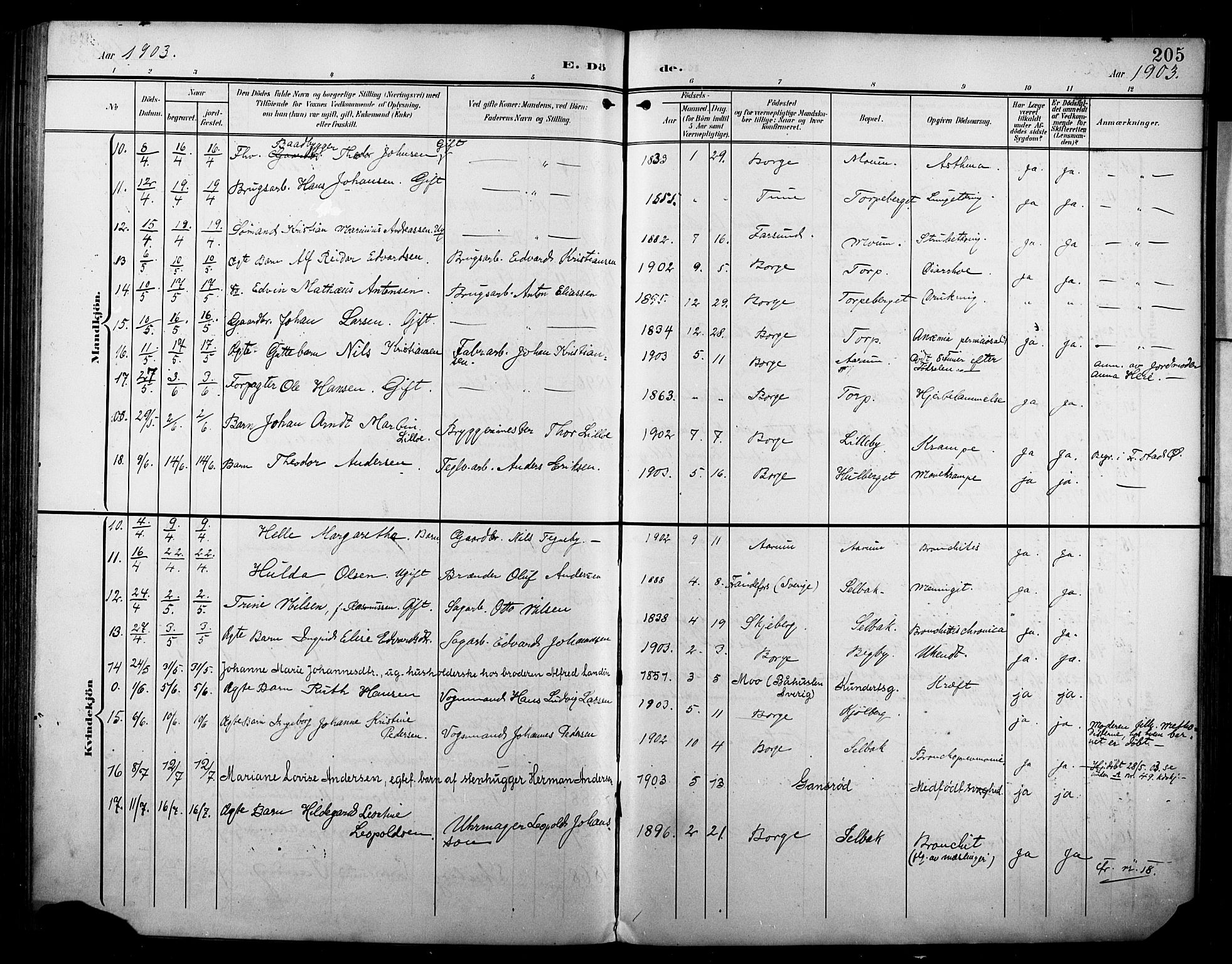 Borge prestekontor Kirkebøker, AV/SAO-A-10903/F/Fa/L0009: Parish register (official) no. I 9, 1902-1911, p. 205