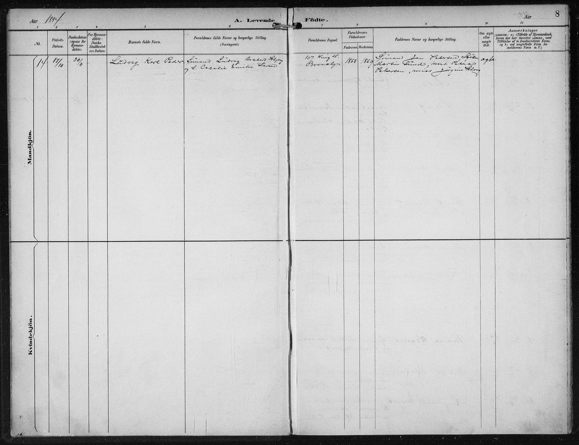Den norske sjømannsmisjon i utlandet/New York, SAB/SAB/PA-0110/H/Ha/L0004: Parish register (official) no. A 4, 1893-1901, p. 8