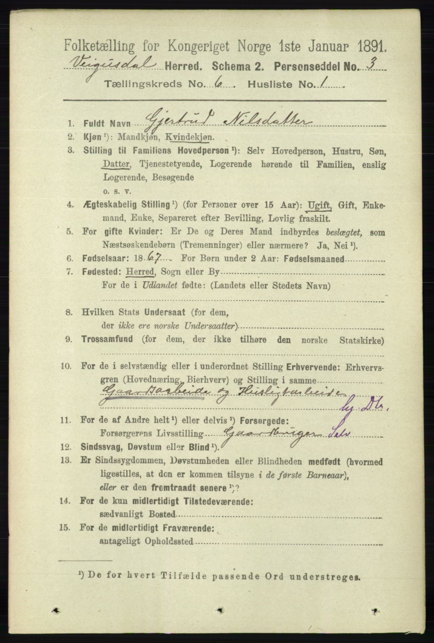 RA, 1891 census for 0934 Vegusdal, 1891, p. 1081