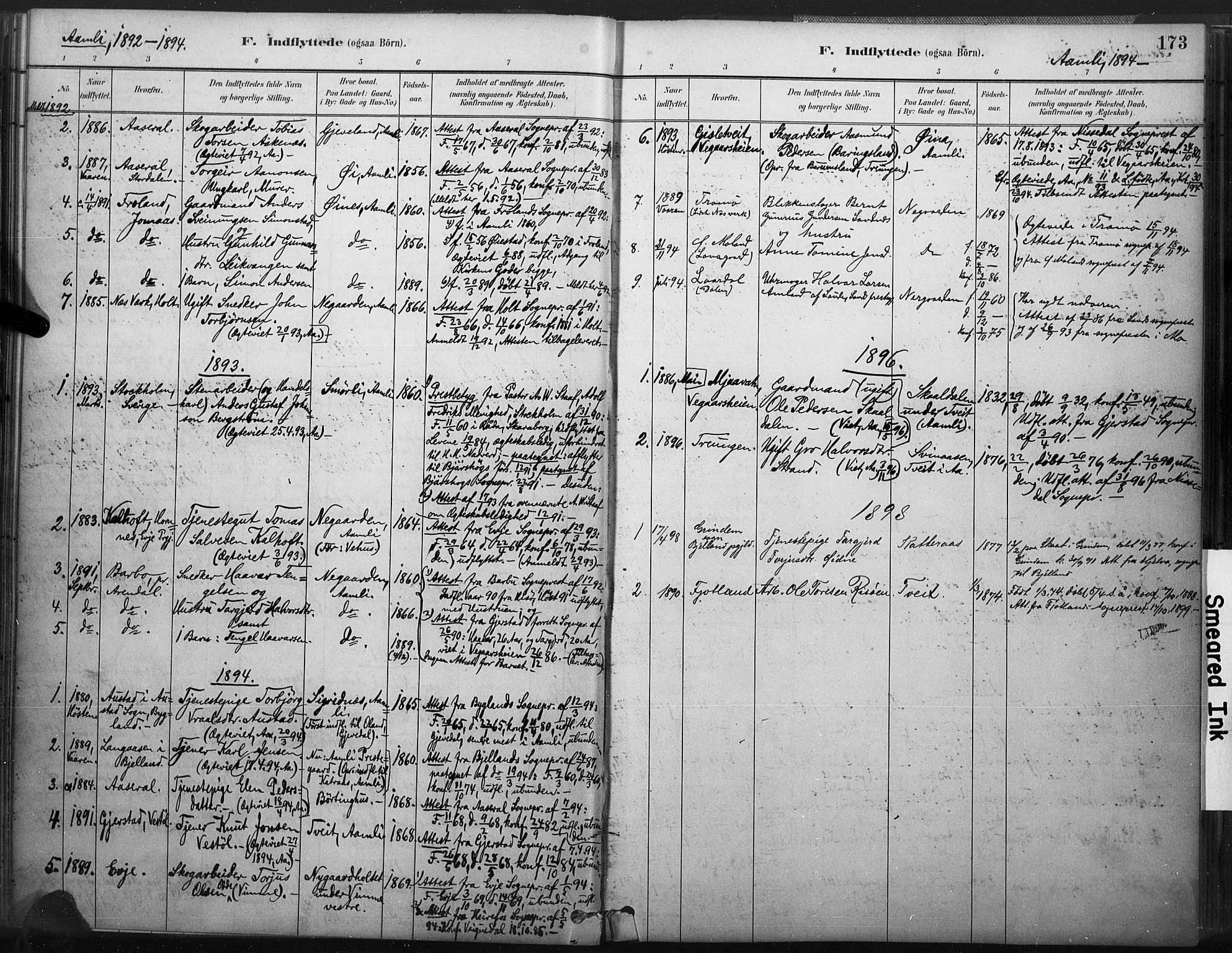 Åmli sokneprestkontor, AV/SAK-1111-0050/F/Fa/Fac/L0010: Parish register (official) no. A 10 /1, 1885-1899, p. 173
