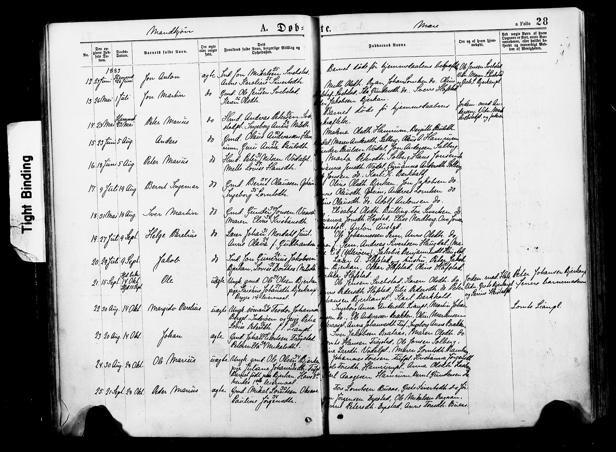 Ministerialprotokoller, klokkerbøker og fødselsregistre - Nord-Trøndelag, SAT/A-1458/735/L0348: Parish register (official) no. 735A09 /1, 1873-1883, p. 28