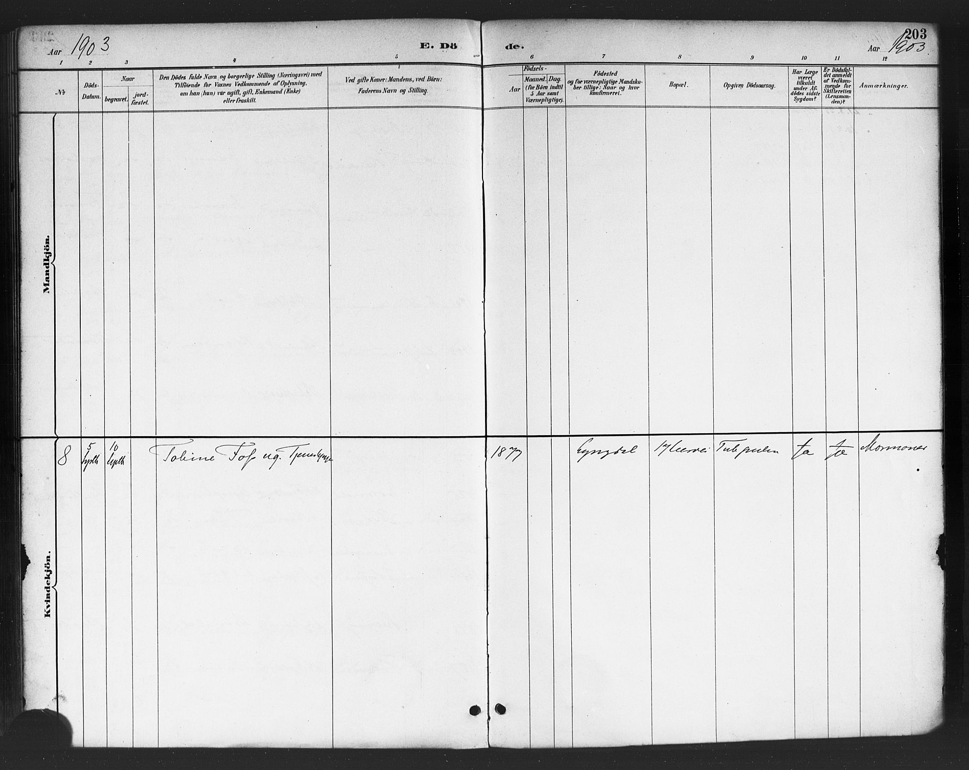Petrus prestekontor Kirkebøker, SAO/A-10872/F/Fa/L0003: Parish register (official) no. 3, 1885-1903, p. 203