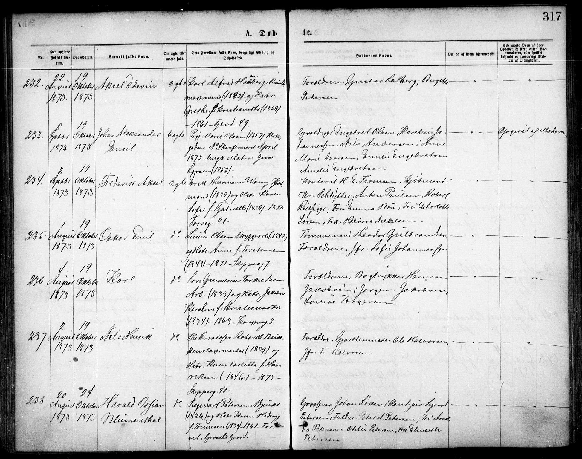 Oslo domkirke Kirkebøker, SAO/A-10752/F/Fa/L0017: Parish register (official) no. 17, 1869-1878, p. 317