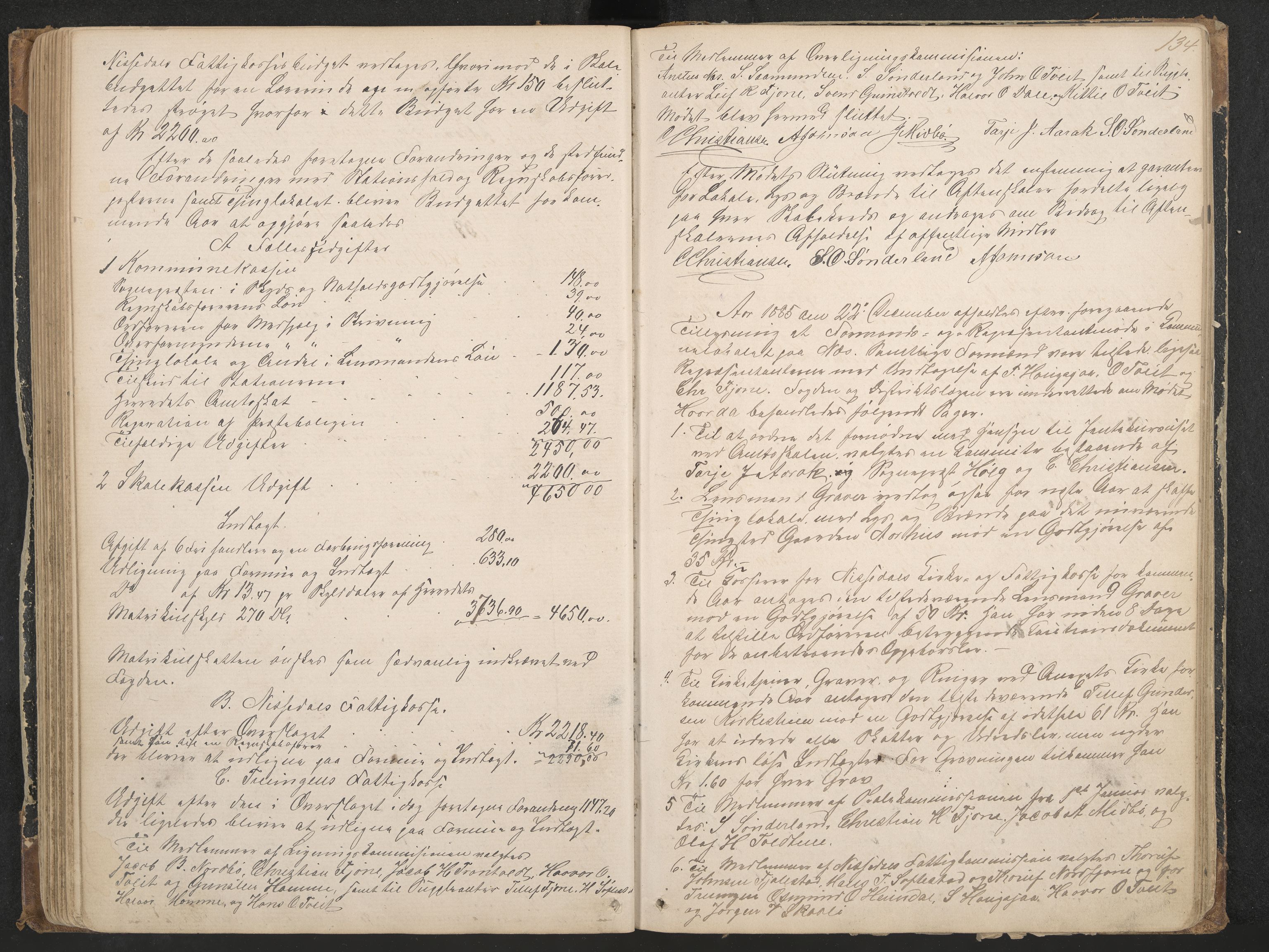 Nissedal formannskap og sentraladministrasjon, IKAK/0830021-1/A/L0002: Møtebok, 1870-1892, p. 134