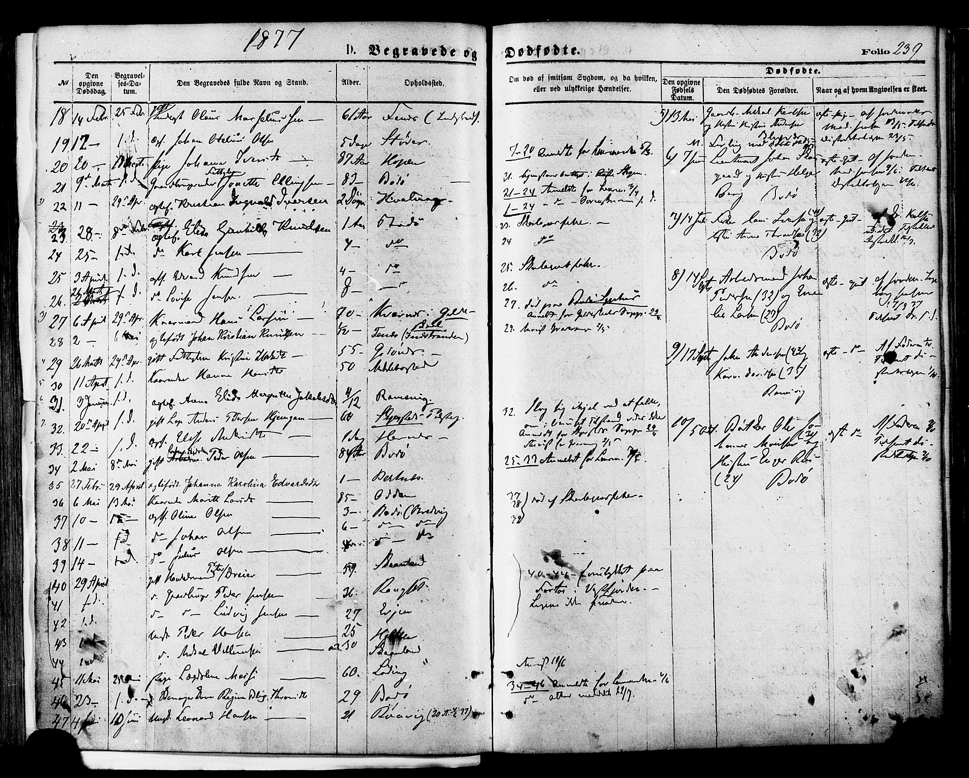 Ministerialprotokoller, klokkerbøker og fødselsregistre - Nordland, SAT/A-1459/801/L0009: Parish register (official) no. 801A09, 1876-1883, p. 239