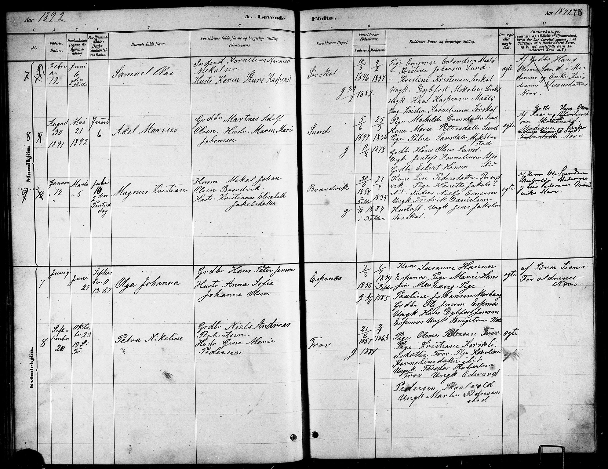 Ministerialprotokoller, klokkerbøker og fødselsregistre - Nordland, AV/SAT-A-1459/857/L0828: Parish register (copy) no. 857C03, 1879-1908, p. 75