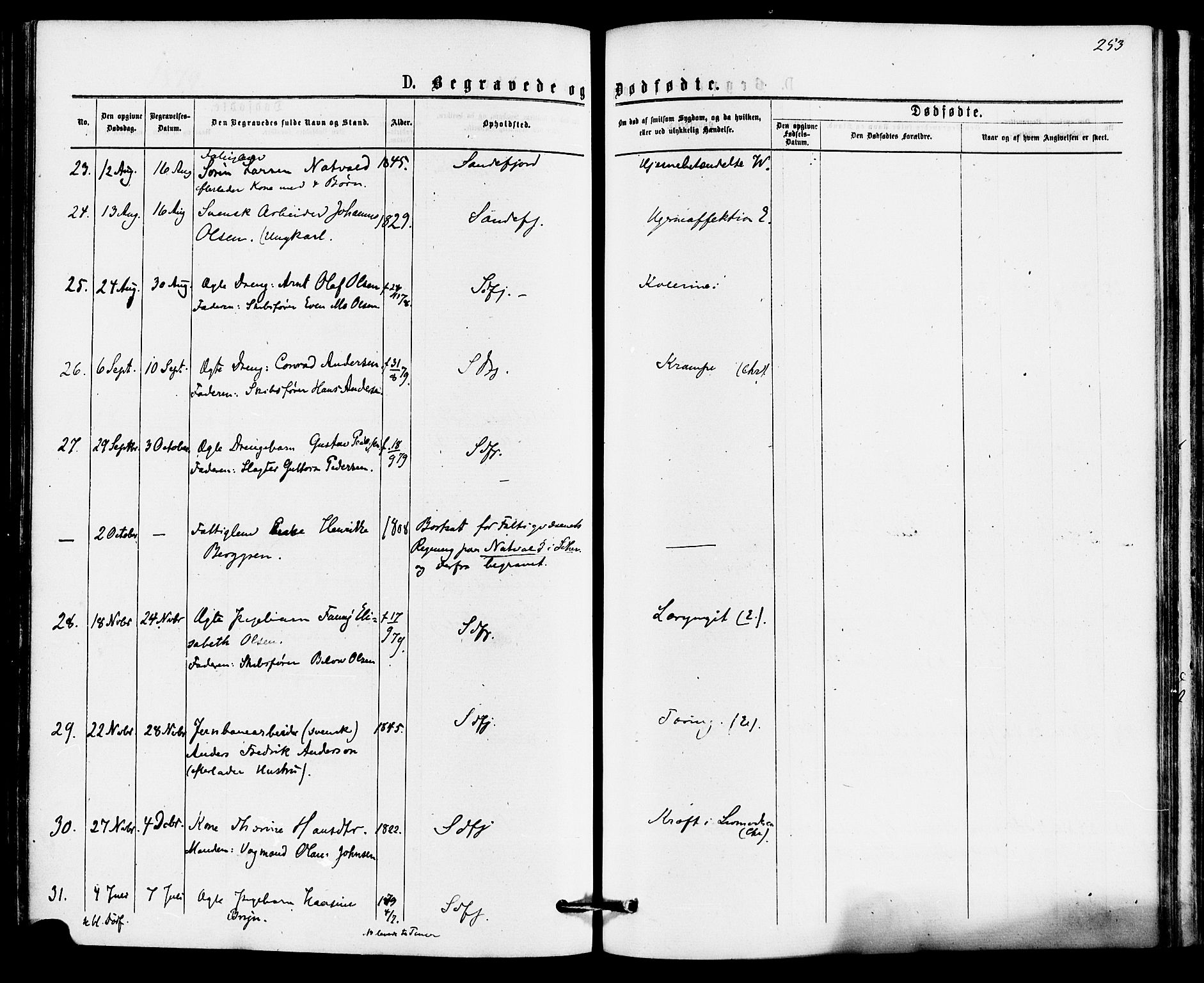 Sandefjord kirkebøker, SAKO/A-315/F/Fa/L0001: Parish register (official) no. 1, 1873-1879, p. 253
