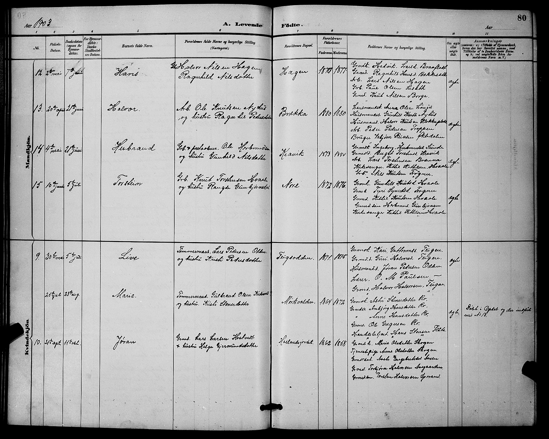 Nore kirkebøker, SAKO/A-238/G/Ga/L0003: Parish register (copy) no. I 3, 1886-1903, p. 80