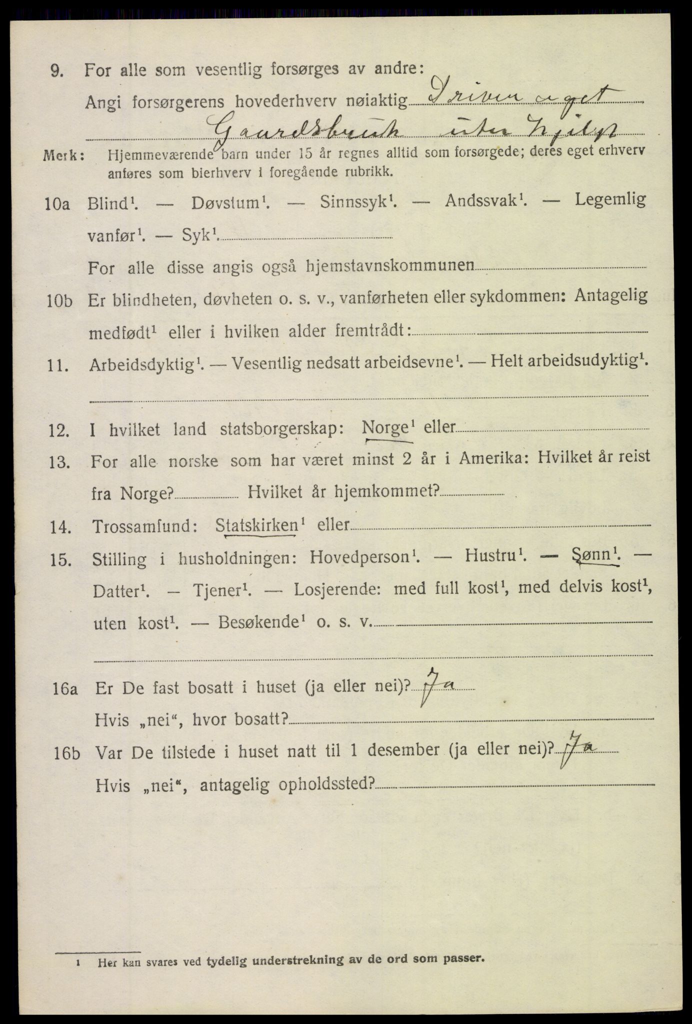 SAH, 1920 census for Søndre Land, 1920, p. 4996