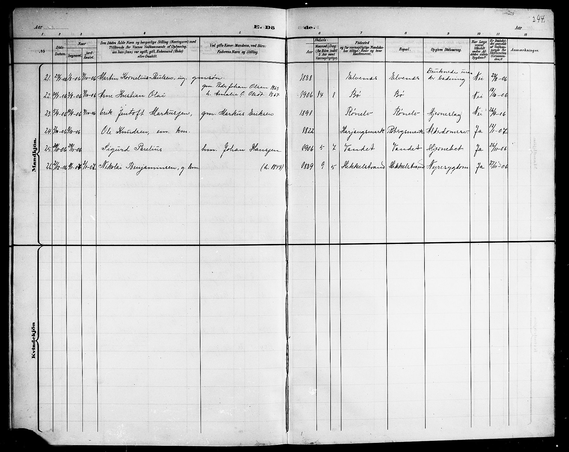 Ministerialprotokoller, klokkerbøker og fødselsregistre - Nordland, AV/SAT-A-1459/863/L0915: Parish register (copy) no. 863C05, 1898-1907, p. 244