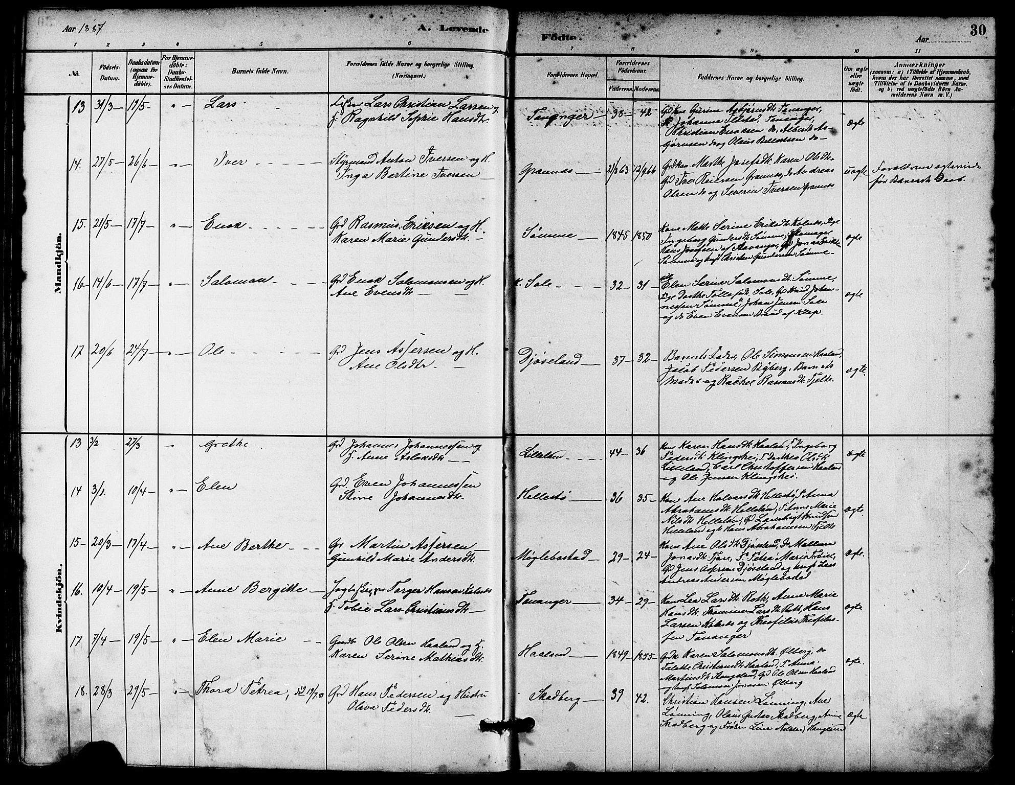 Håland sokneprestkontor, AV/SAST-A-101802/001/30BA/L0010: Parish register (official) no. A 9, 1883-1888, p. 30