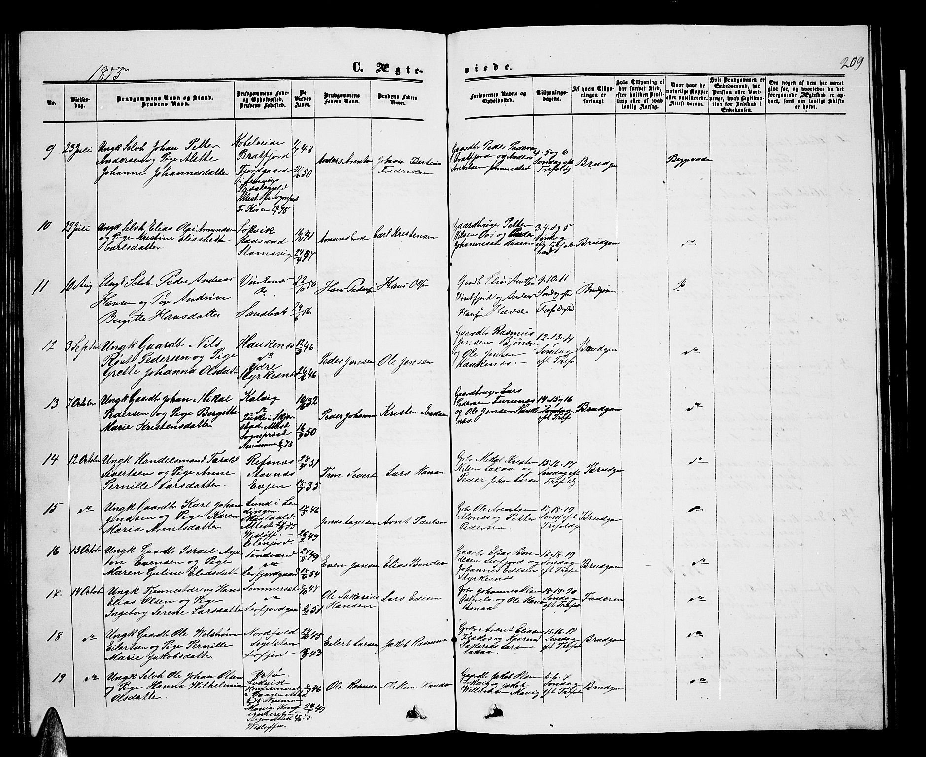 Ministerialprotokoller, klokkerbøker og fødselsregistre - Nordland, AV/SAT-A-1459/853/L0775: Parish register (copy) no. 853C03, 1859-1877, p. 209