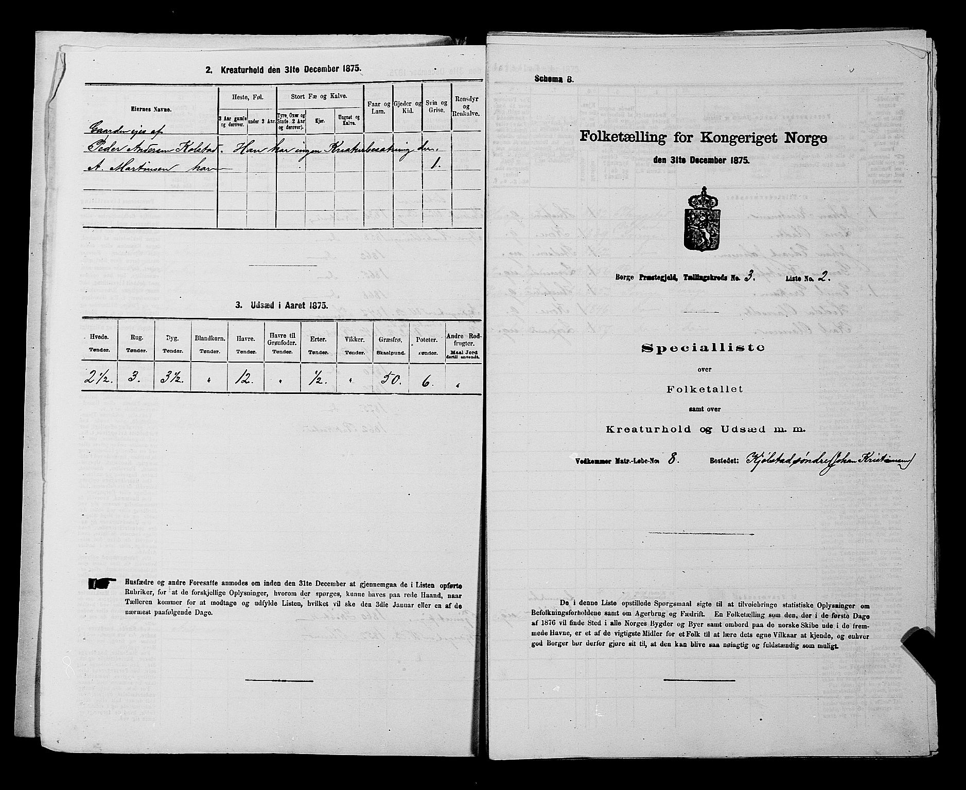 RA, 1875 census for 0113P Borge, 1875, p. 386