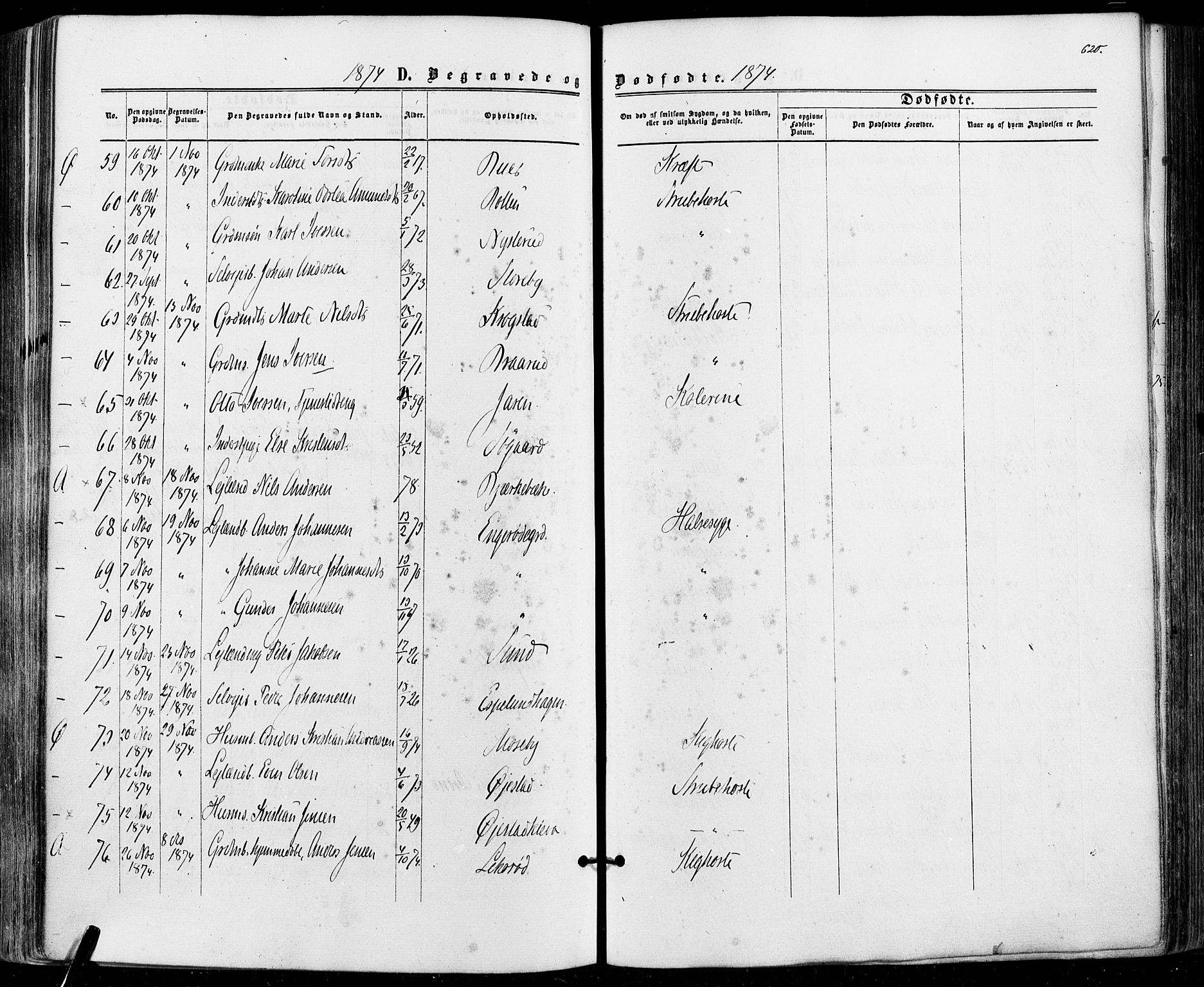 Aremark prestekontor Kirkebøker, AV/SAO-A-10899/F/Fc/L0004: Parish register (official) no. III 4, 1866-1877, p. 619-620