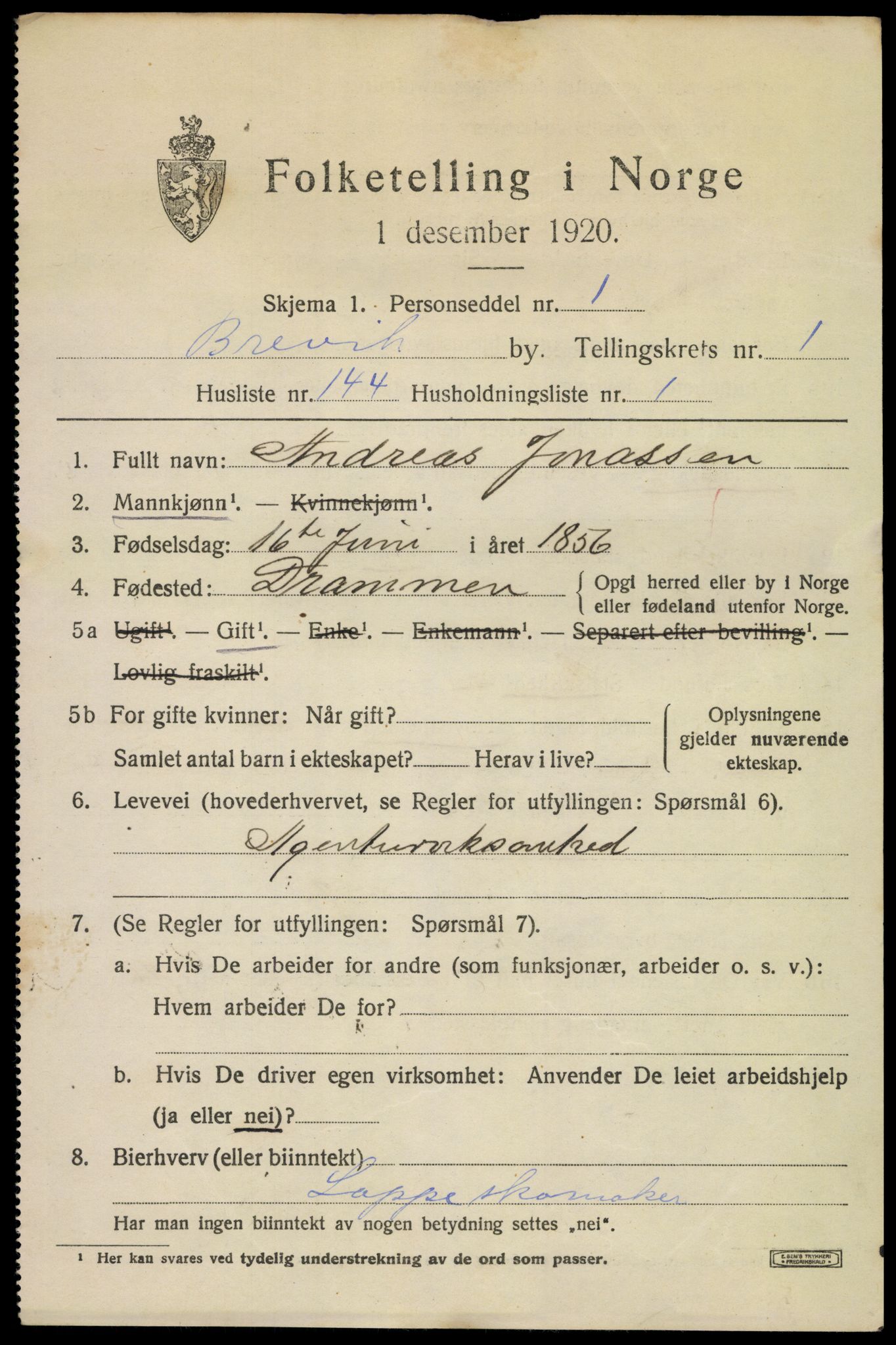 SAKO, 1920 census for Brevik, 1920, p. 3856