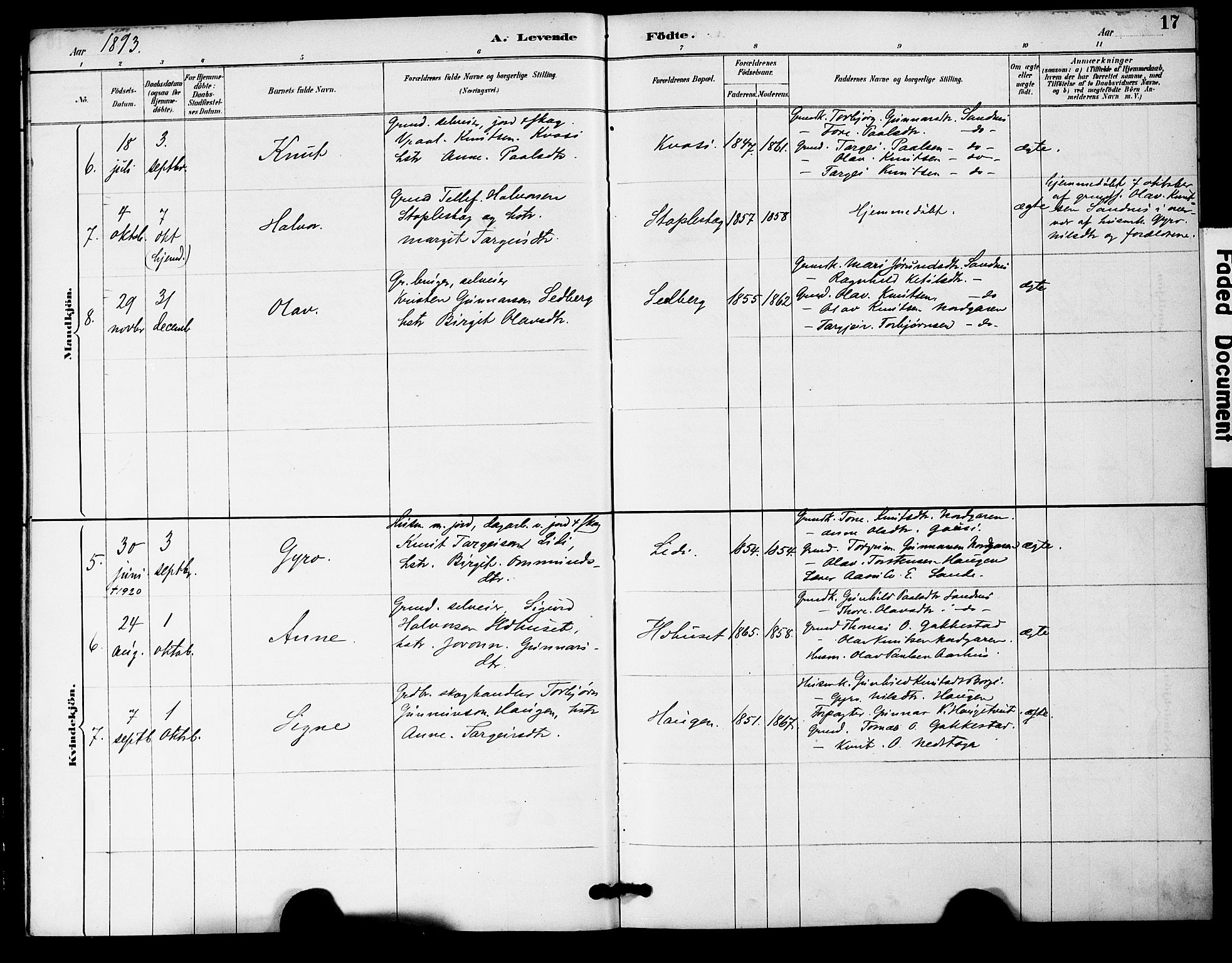 Bygland sokneprestkontor, SAK/1111-0006/F/Fa/Fac/L0001: Parish register (official) no. A 1, 1885-1909, p. 17