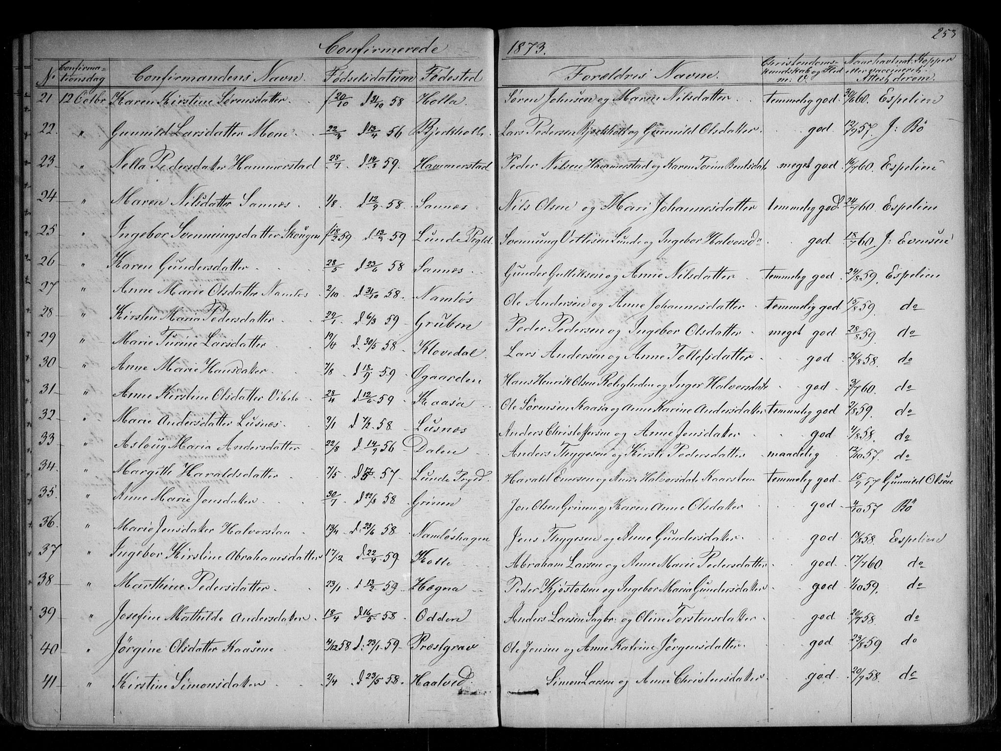 Holla kirkebøker, SAKO/A-272/G/Ga/L0004: Parish register (copy) no. I 4, 1867-1890, p. 253