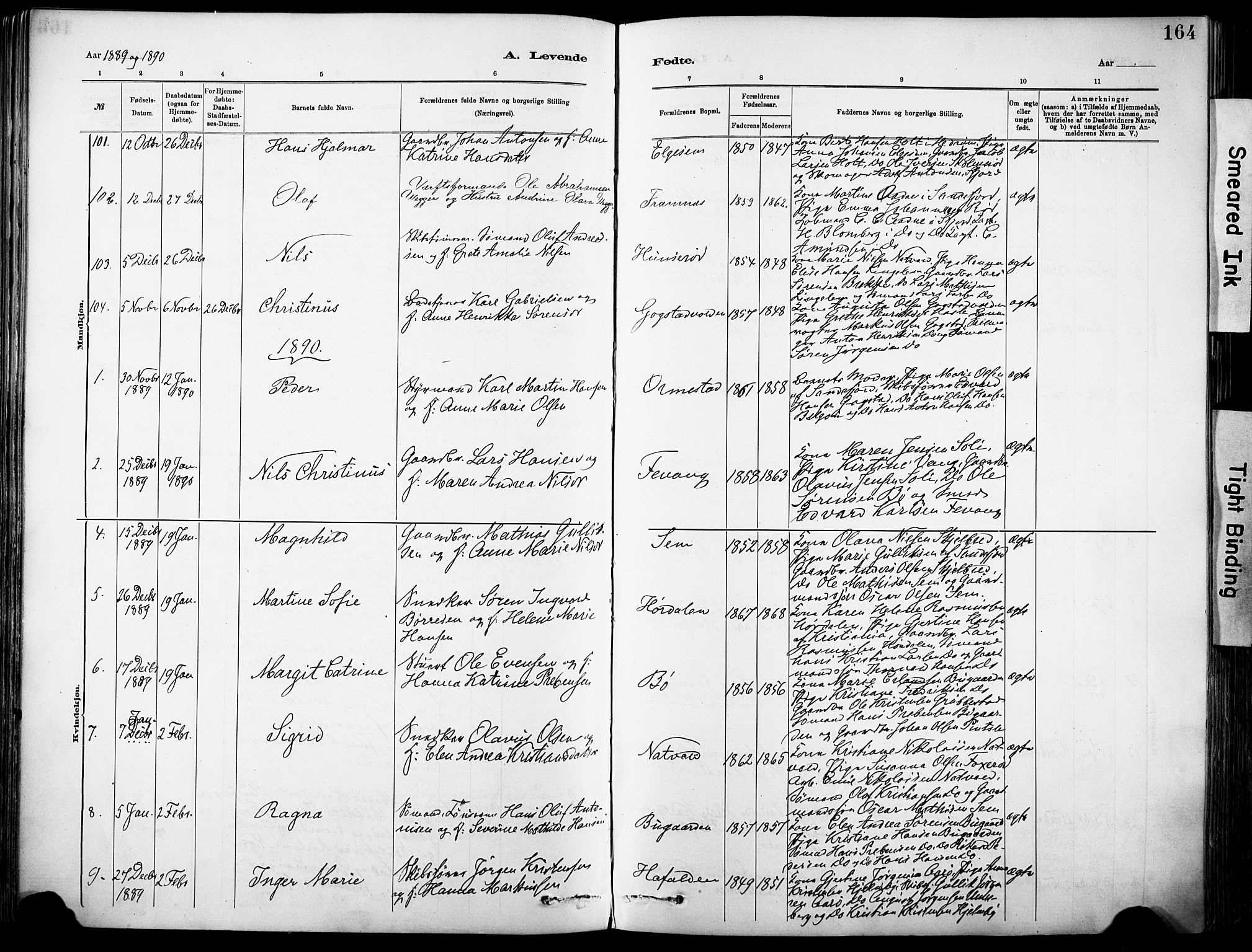 Sandar kirkebøker, AV/SAKO-A-243/F/Fa/L0012: Parish register (official) no. 12, 1883-1895, p. 164