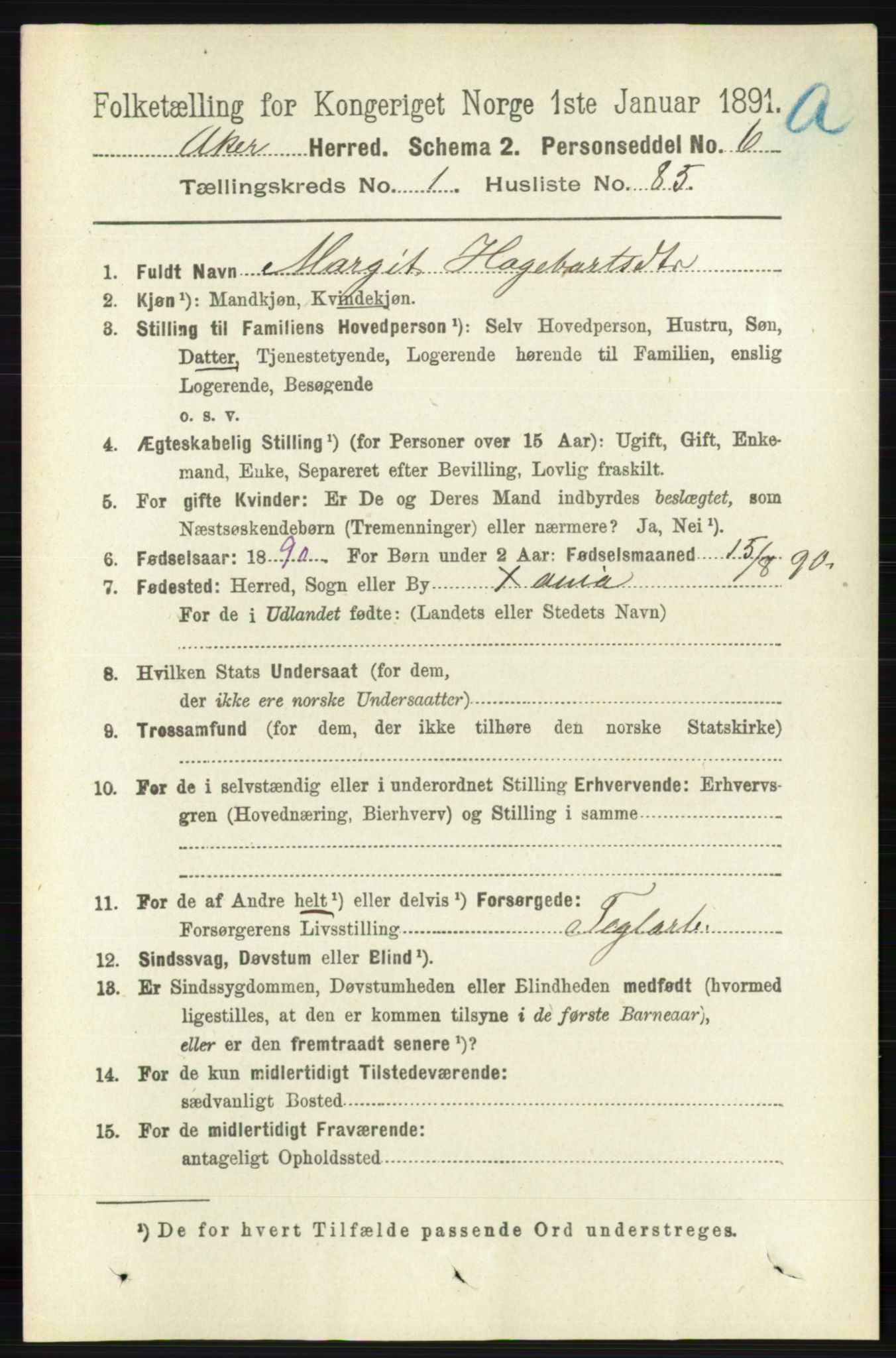 RA, 1891 census for 0218 Aker, 1891, p. 1165