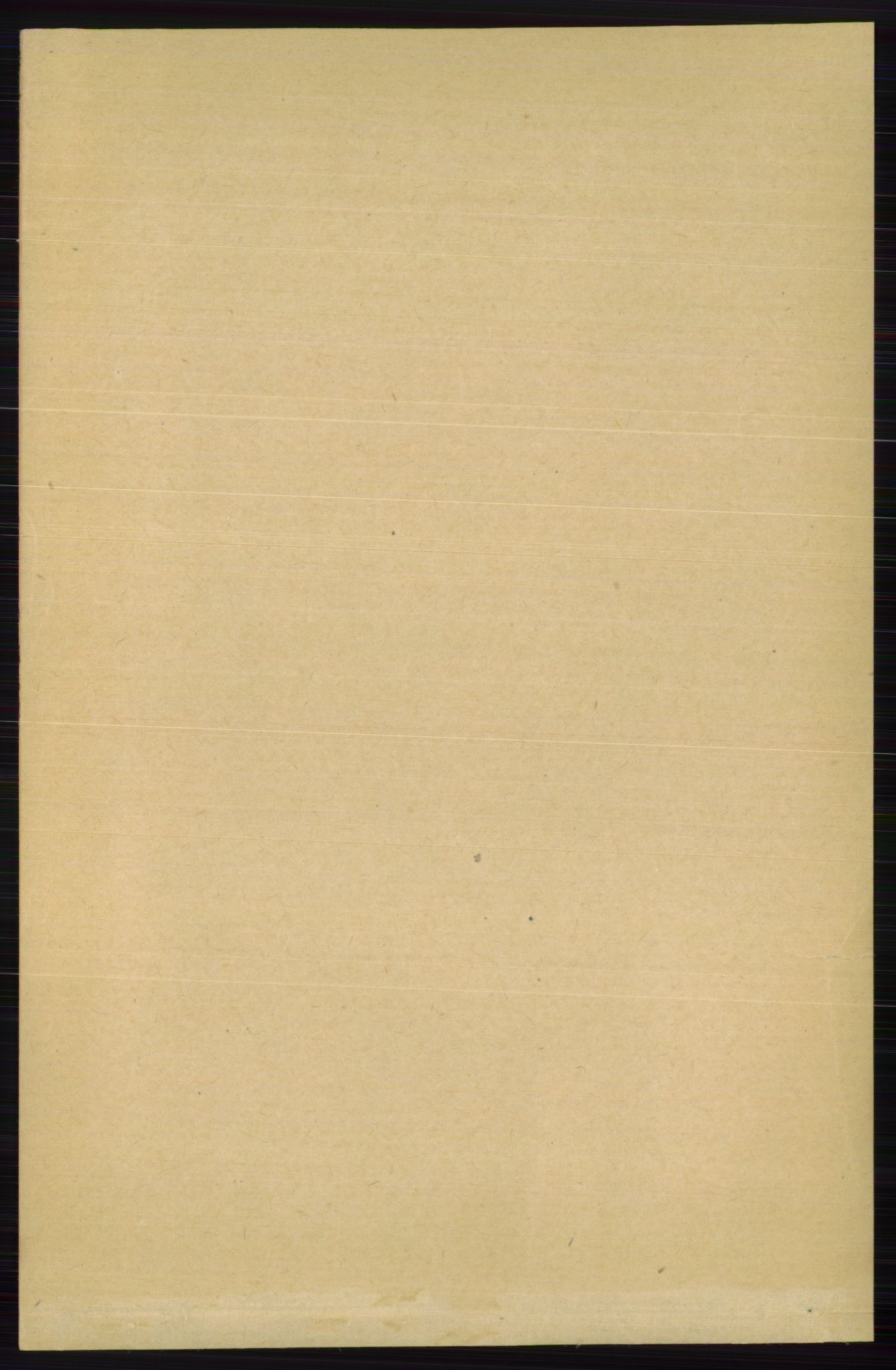 RA, 1891 census for 0619 Ål, 1891, p. 2091