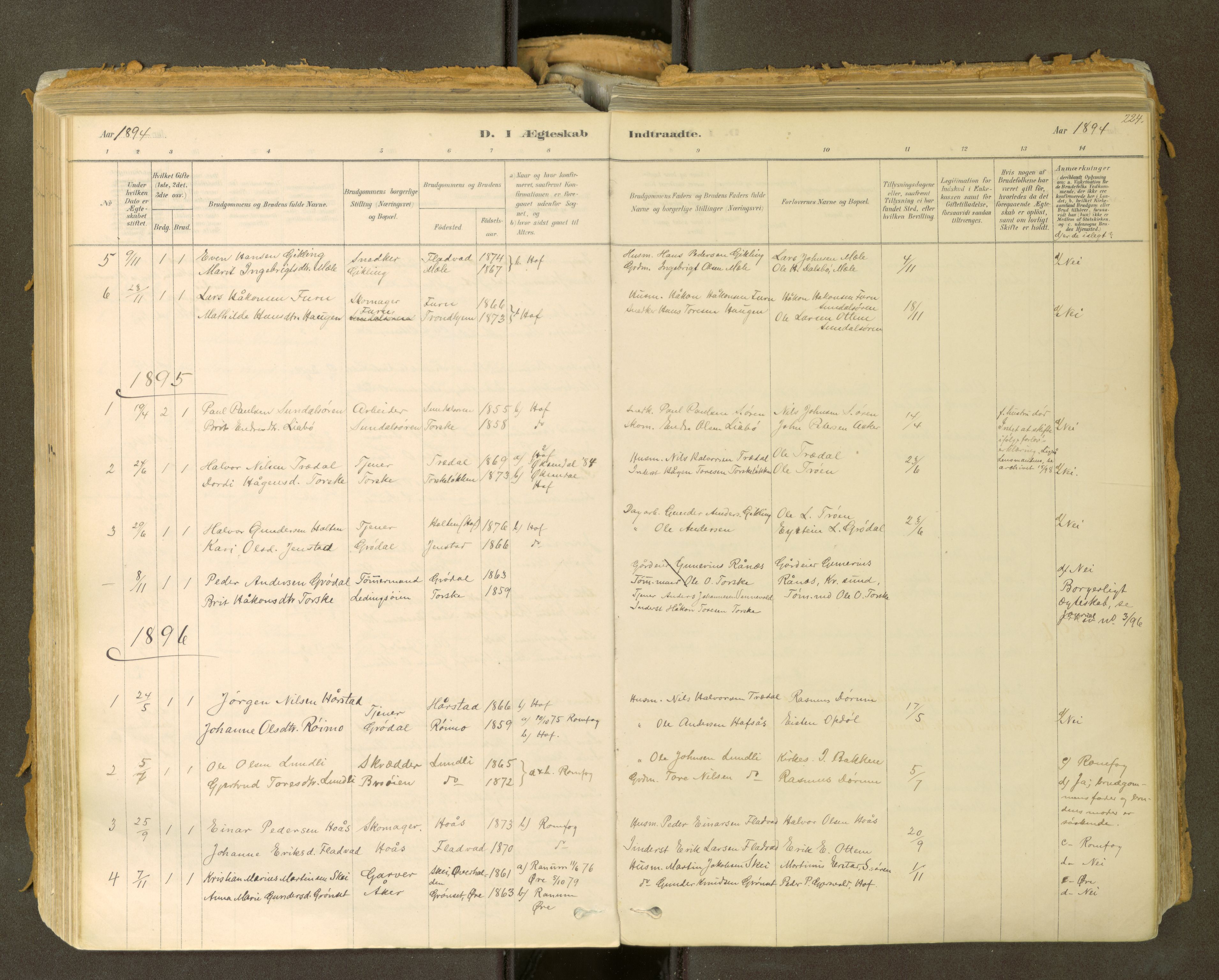 Sunndal sokneprestkontor, SAT/A-1085/1/I/I1/I1a: Parish register (official) no. 2, 1877-1914, p. 224