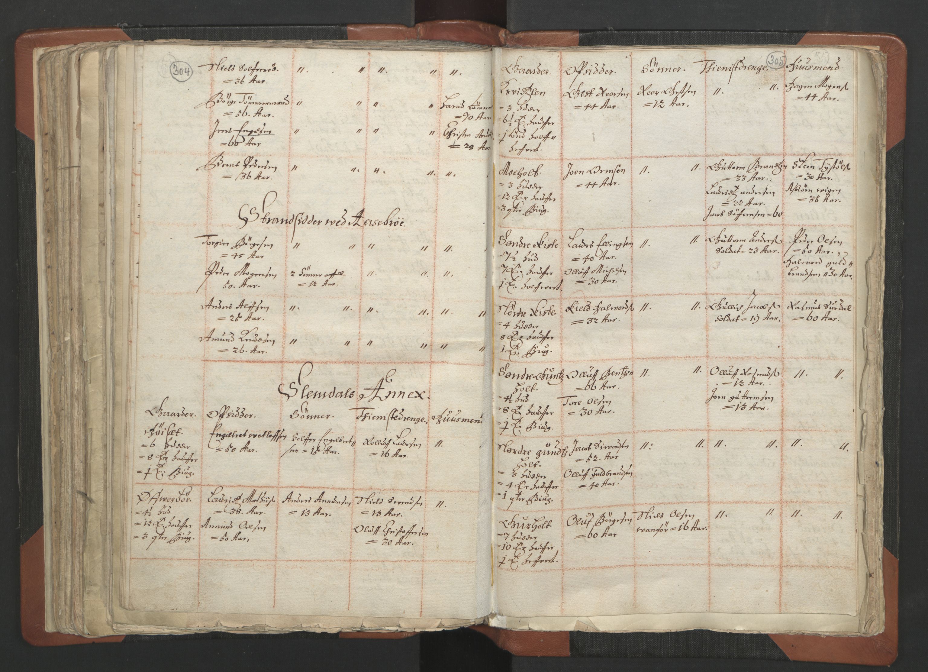 RA, Vicar's Census 1664-1666, no. 12: Øvre Telemark deanery, Nedre Telemark deanery and Bamble deanery, 1664-1666, p. 304-305