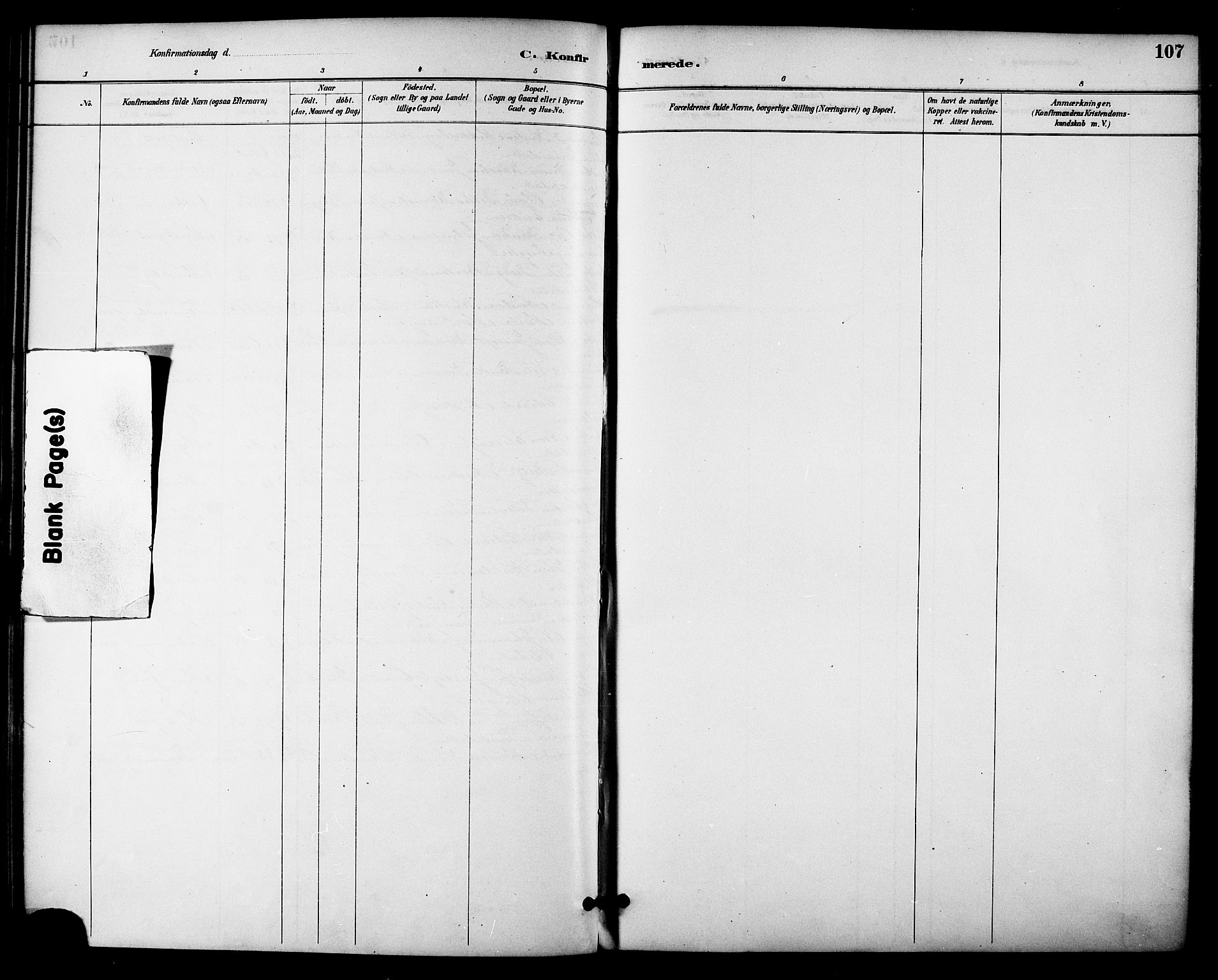 Ministerialprotokoller, klokkerbøker og fødselsregistre - Nordland, AV/SAT-A-1459/895/L1371: Parish register (official) no. 895A06, 1885-1894, p. 107