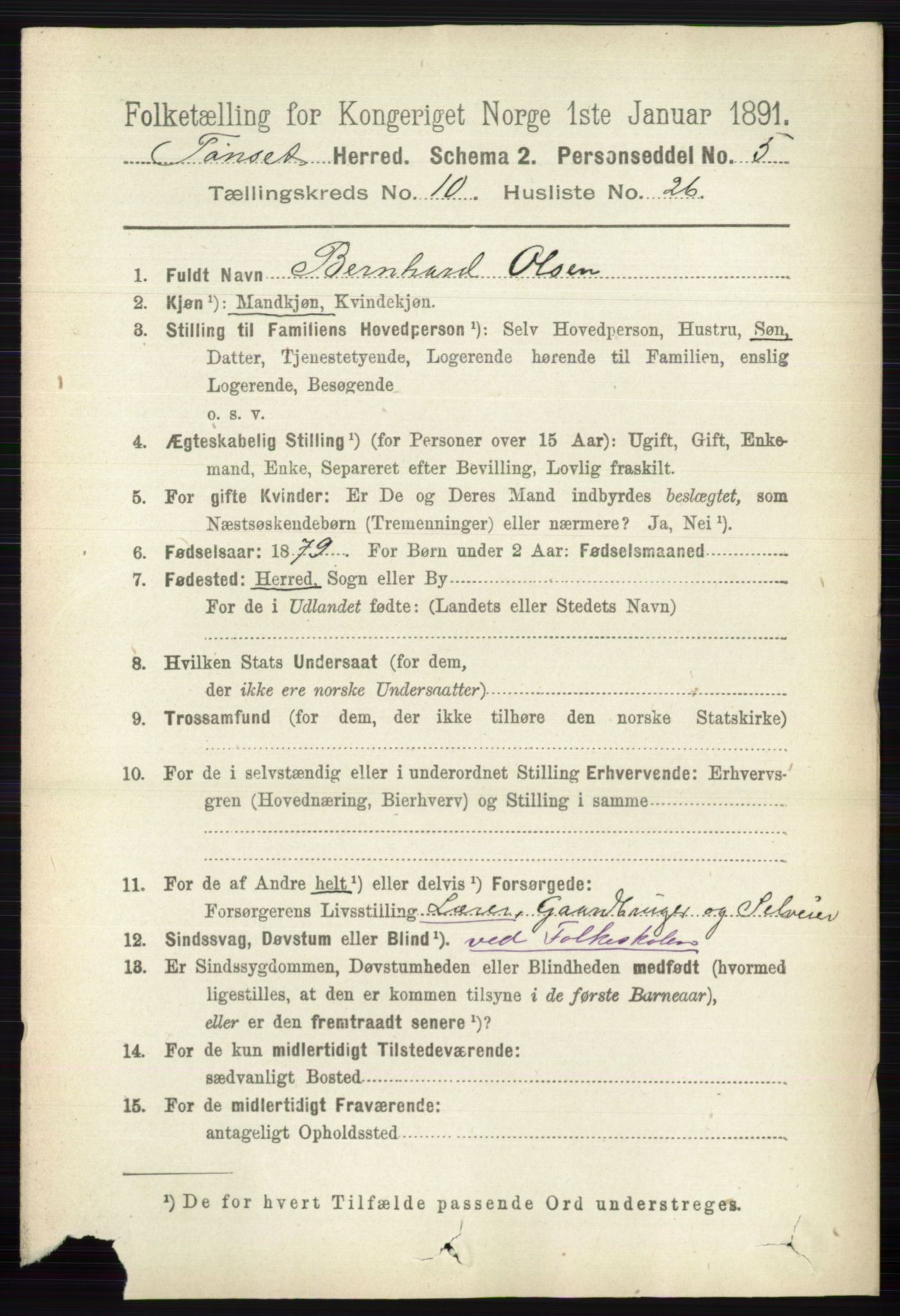 RA, 1891 census for 0437 Tynset, 1891, p. 2979