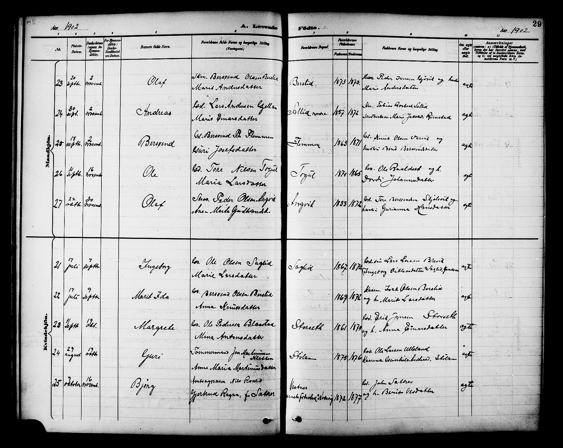 Ministerialprotokoller, klokkerbøker og fødselsregistre - Møre og Romsdal, AV/SAT-A-1454/586/L0992: Parish register (copy) no. 586C03, 1892-1909, p. 29