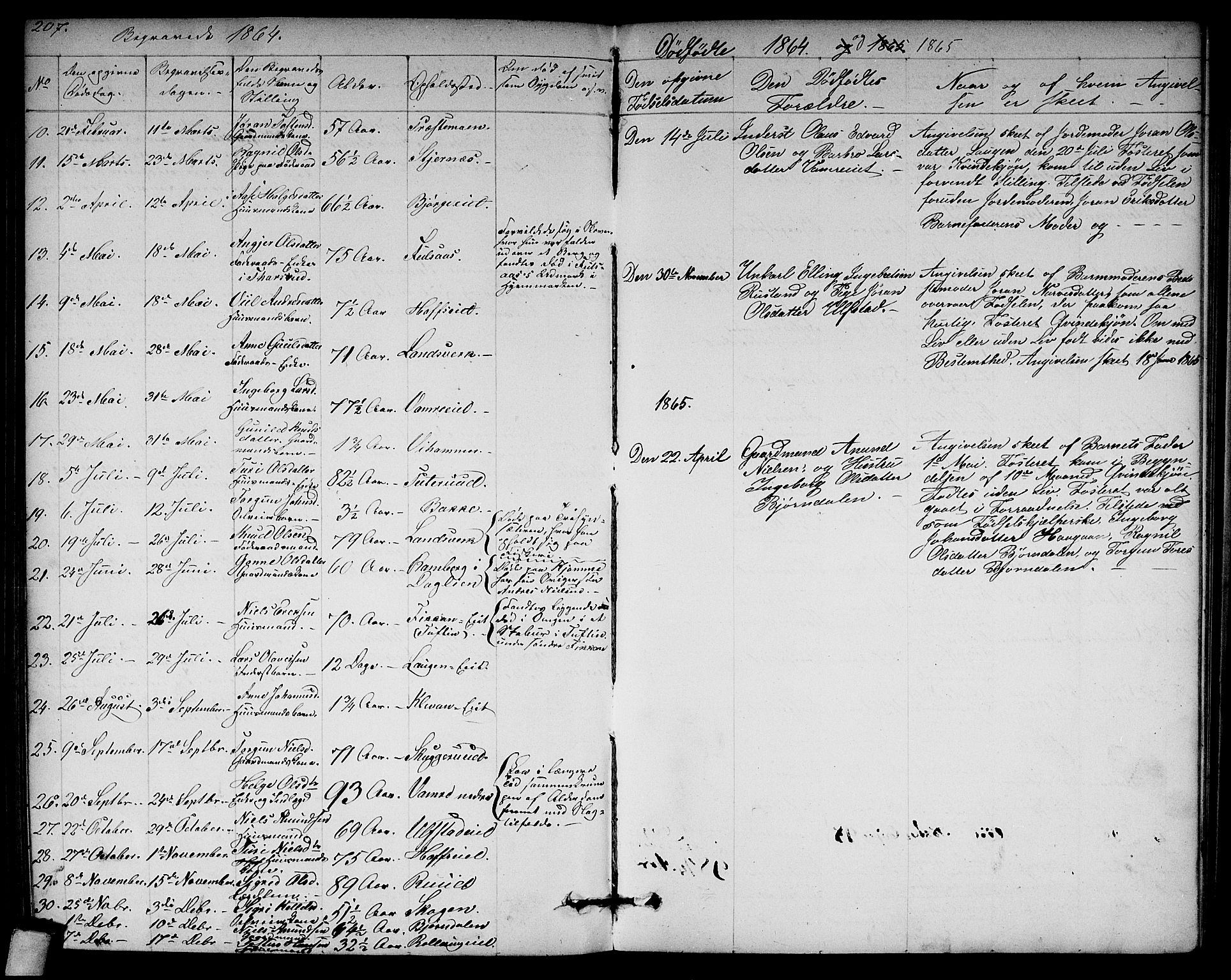 Rollag kirkebøker, AV/SAKO-A-240/G/Ga/L0003: Parish register (copy) no. I 3, 1856-1887, p. 207