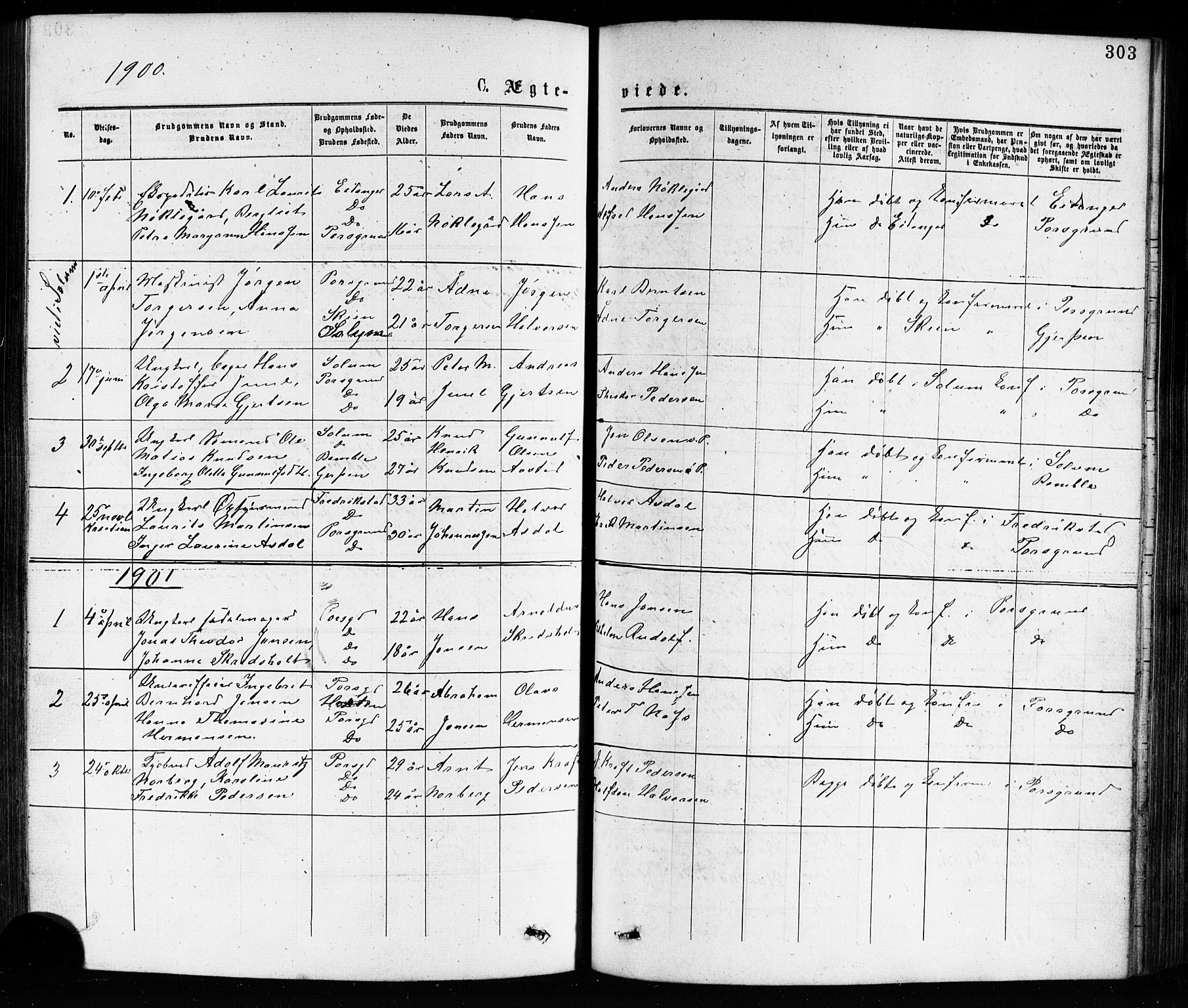 Porsgrunn kirkebøker , AV/SAKO-A-104/G/Ga/L0003: Parish register (copy) no. I 3, 1877-1915, p. 303